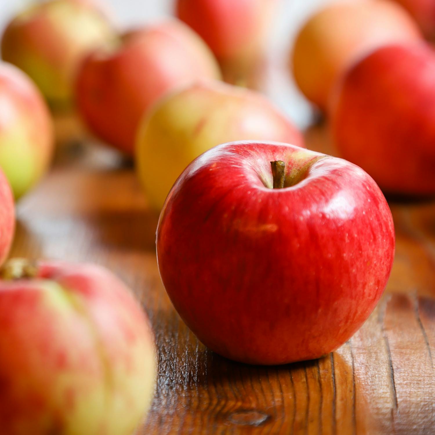 How important is fiber in our diet?