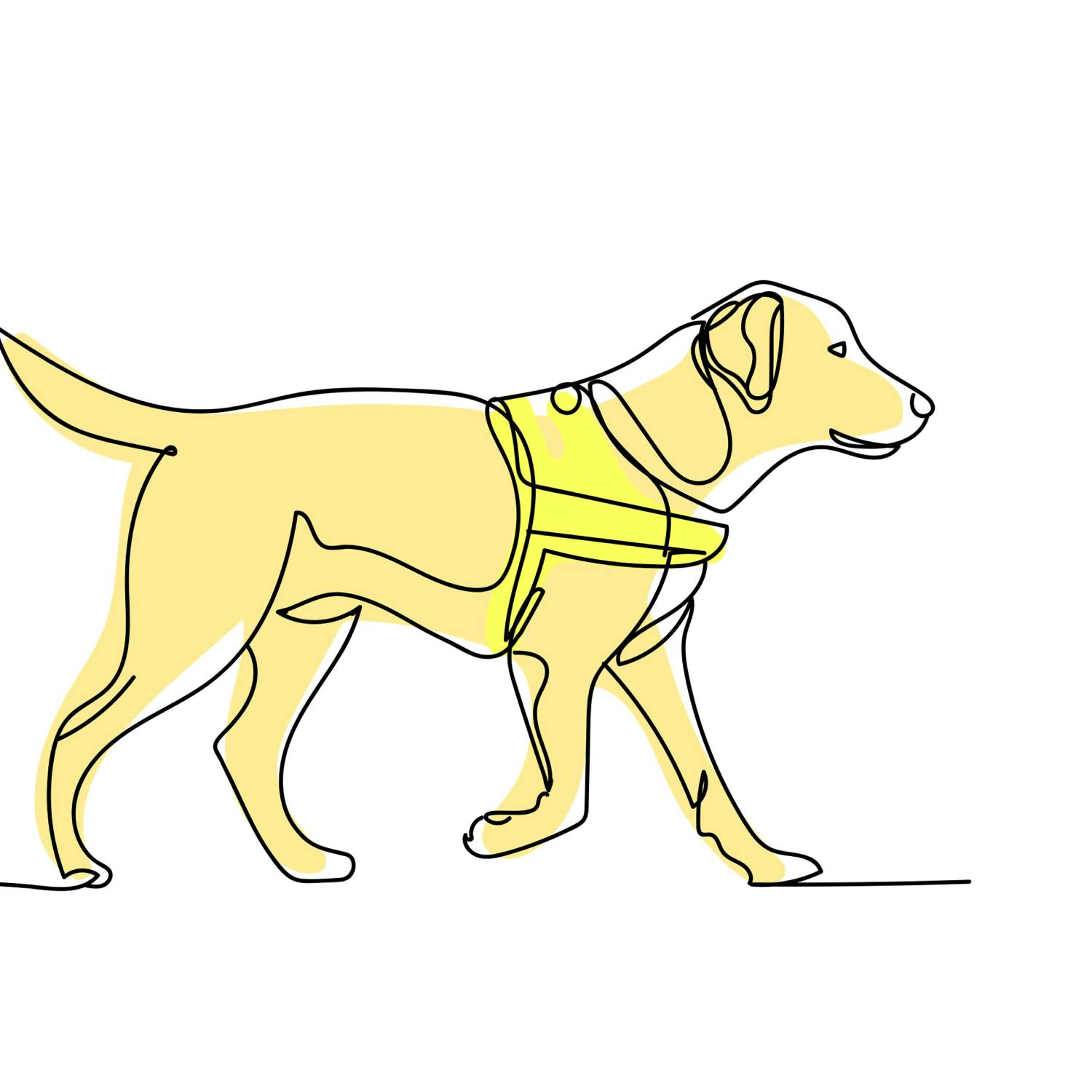 Irish Guide Dog Association turns 50 - James Wilson Reports