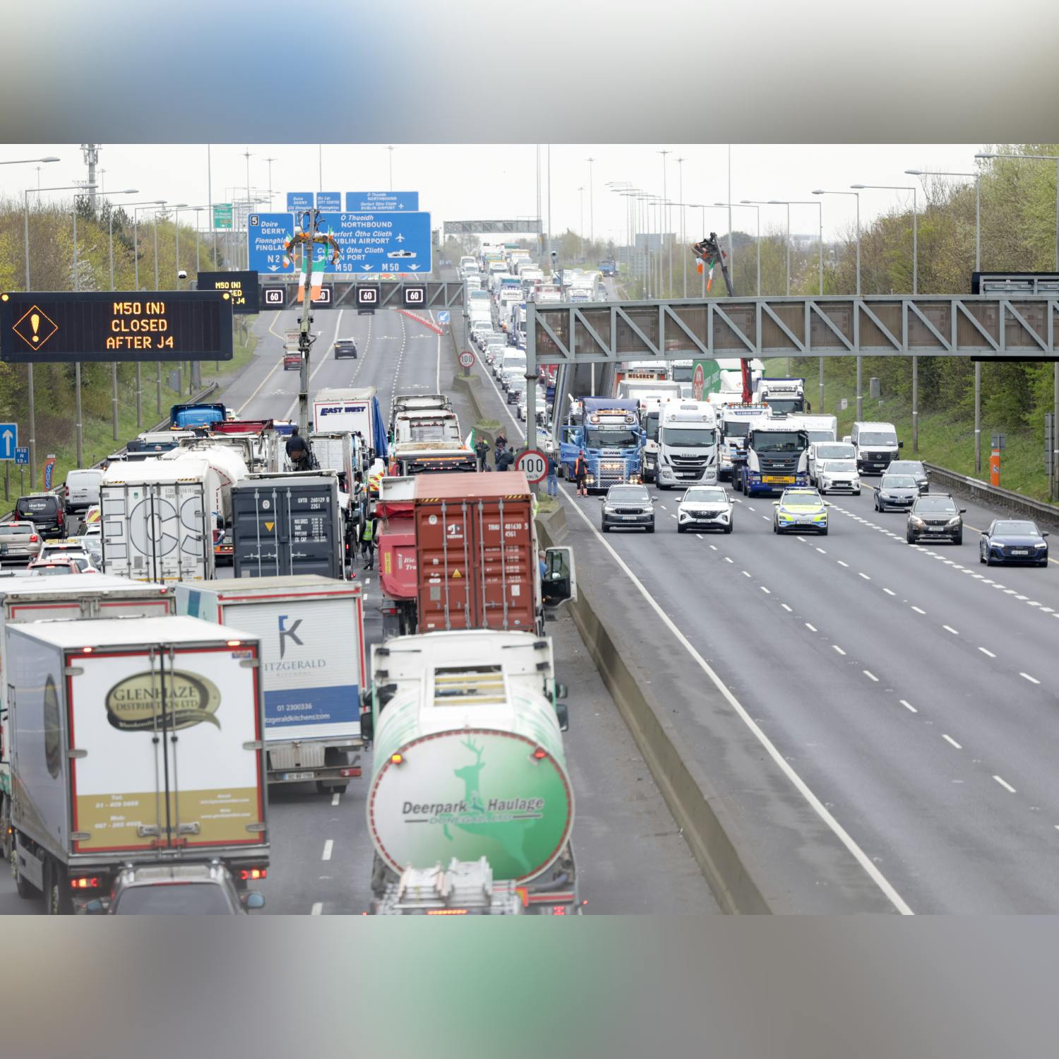 Did the Government respond quickly enough to fuel protests?