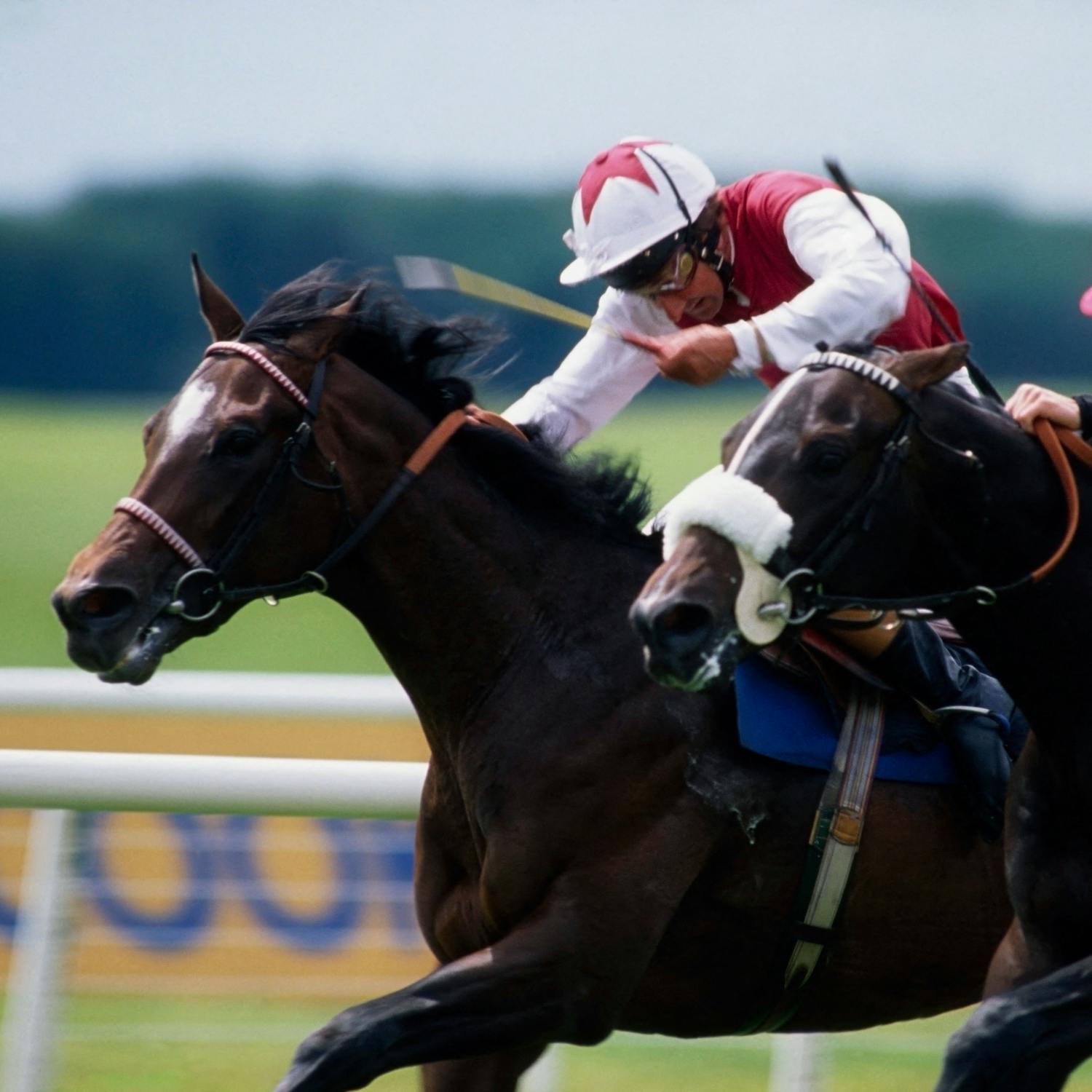 Industry Review: Horse Racing Industry Review: Horse Racing