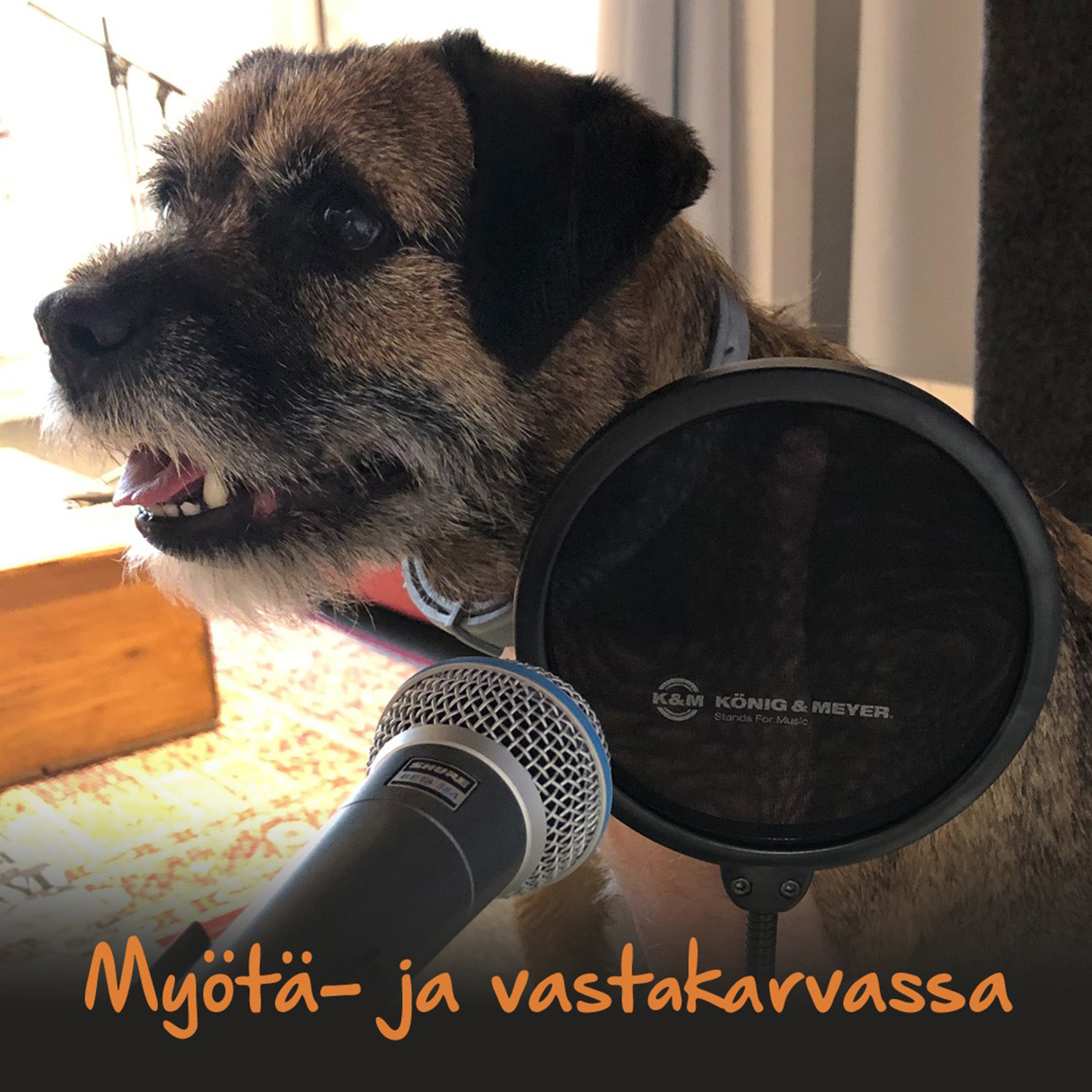 SINI – Ihmisen sukua Pouta