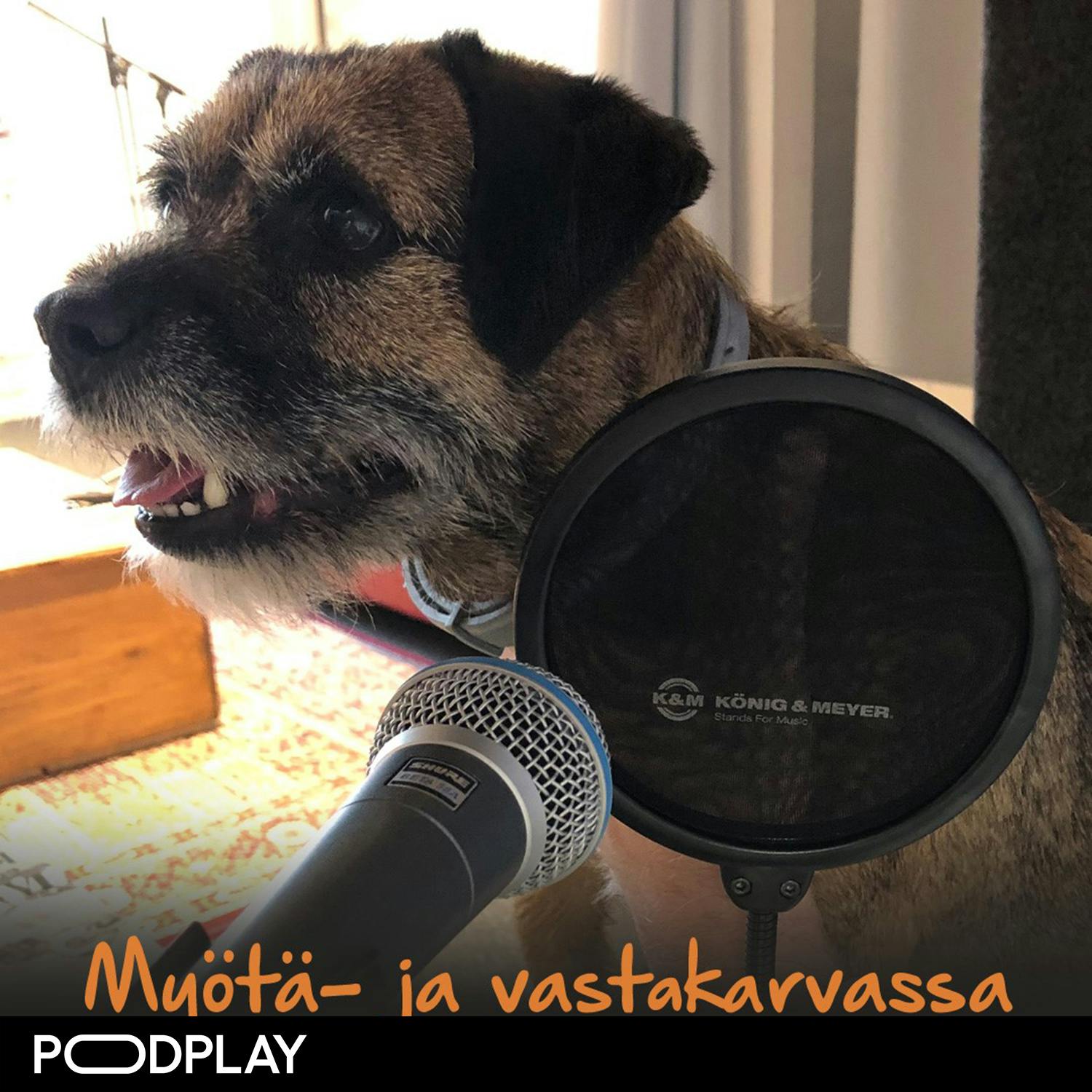 SINI – Ihmisen sukua Pouta SINI – Ihmisen sukua Pouta