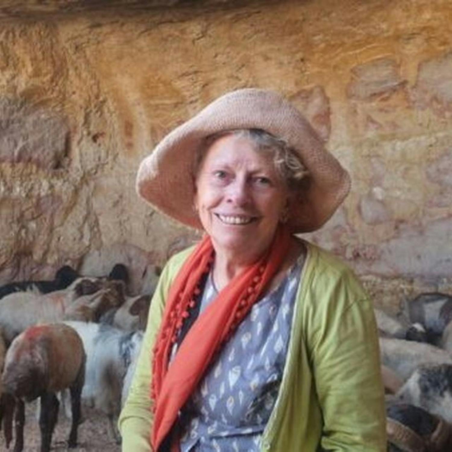 Irish Woman Detained in the West Bank