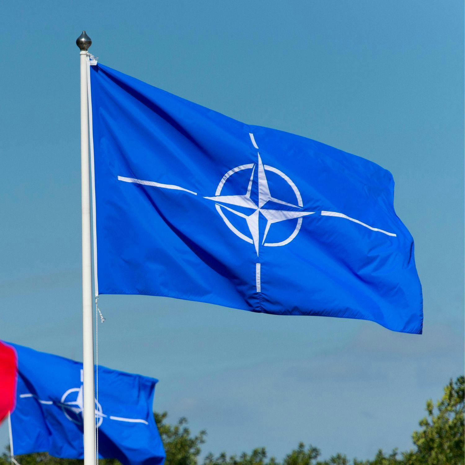 cover of episode What are NATO's Articles 4 And 5?