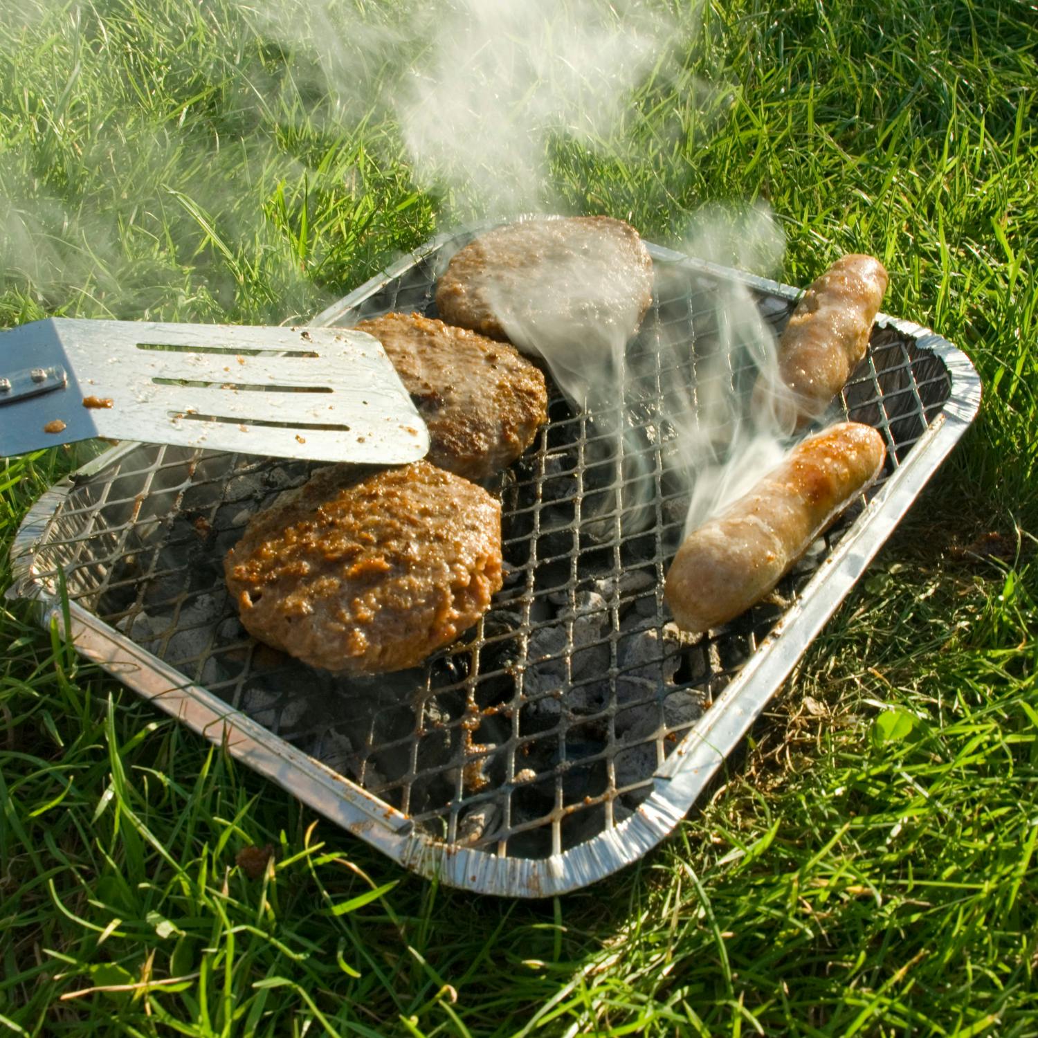Should disposable barbecues be banned during a wildfire warning?