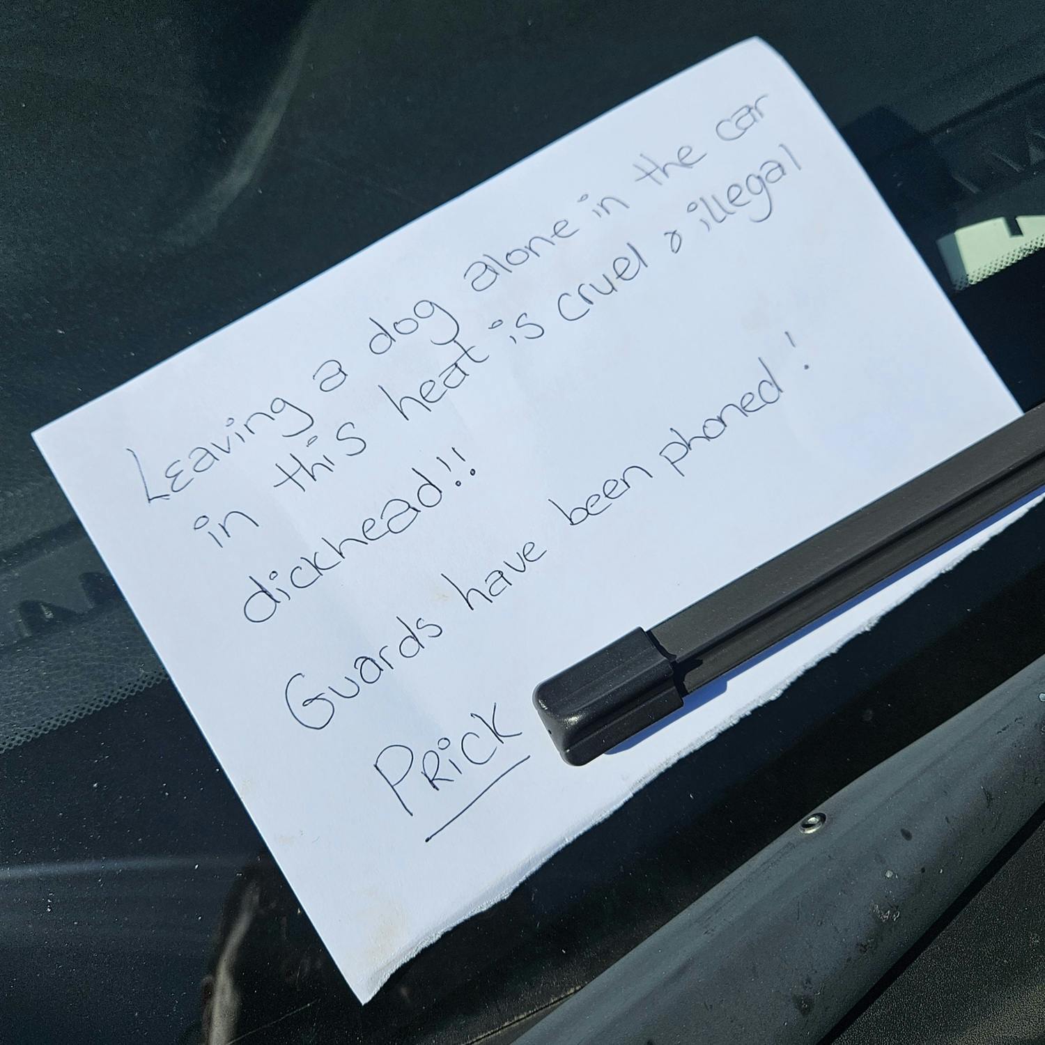 Katie Threatened Live On Air Over Note She Left on "Animal Abusers" Car