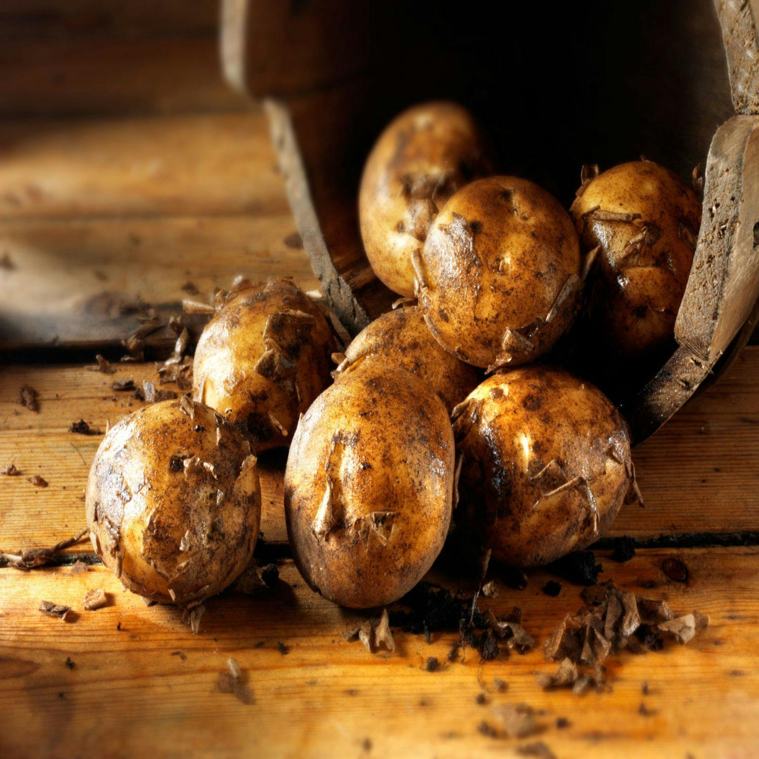 cover of episode Tom Doorley on National Potato Day