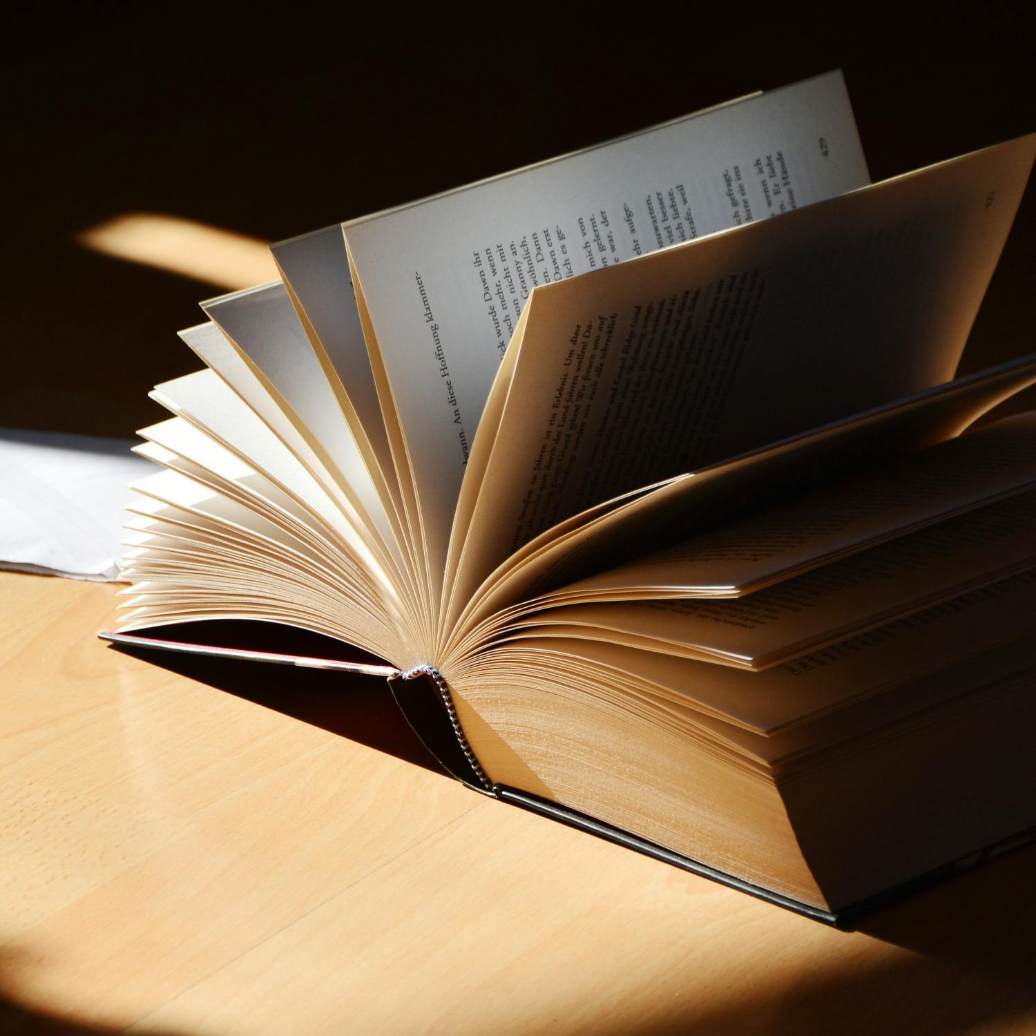 The Bookshelf with Caoilfhionn Gallagher