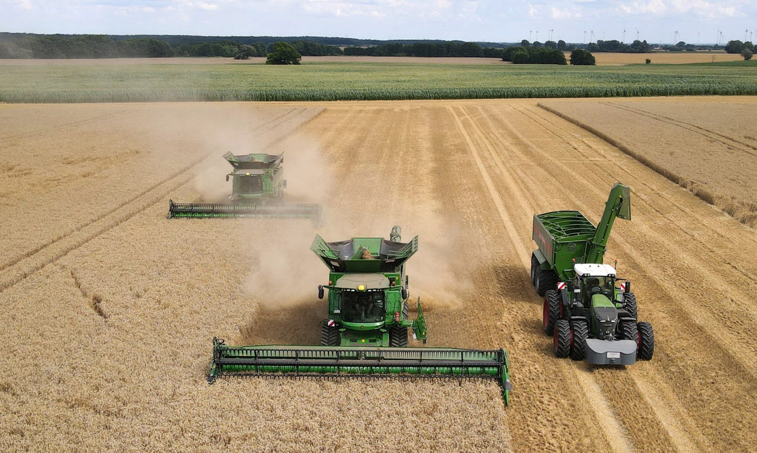 Farming: Cereal will be harvested around this time of year... episode artwork