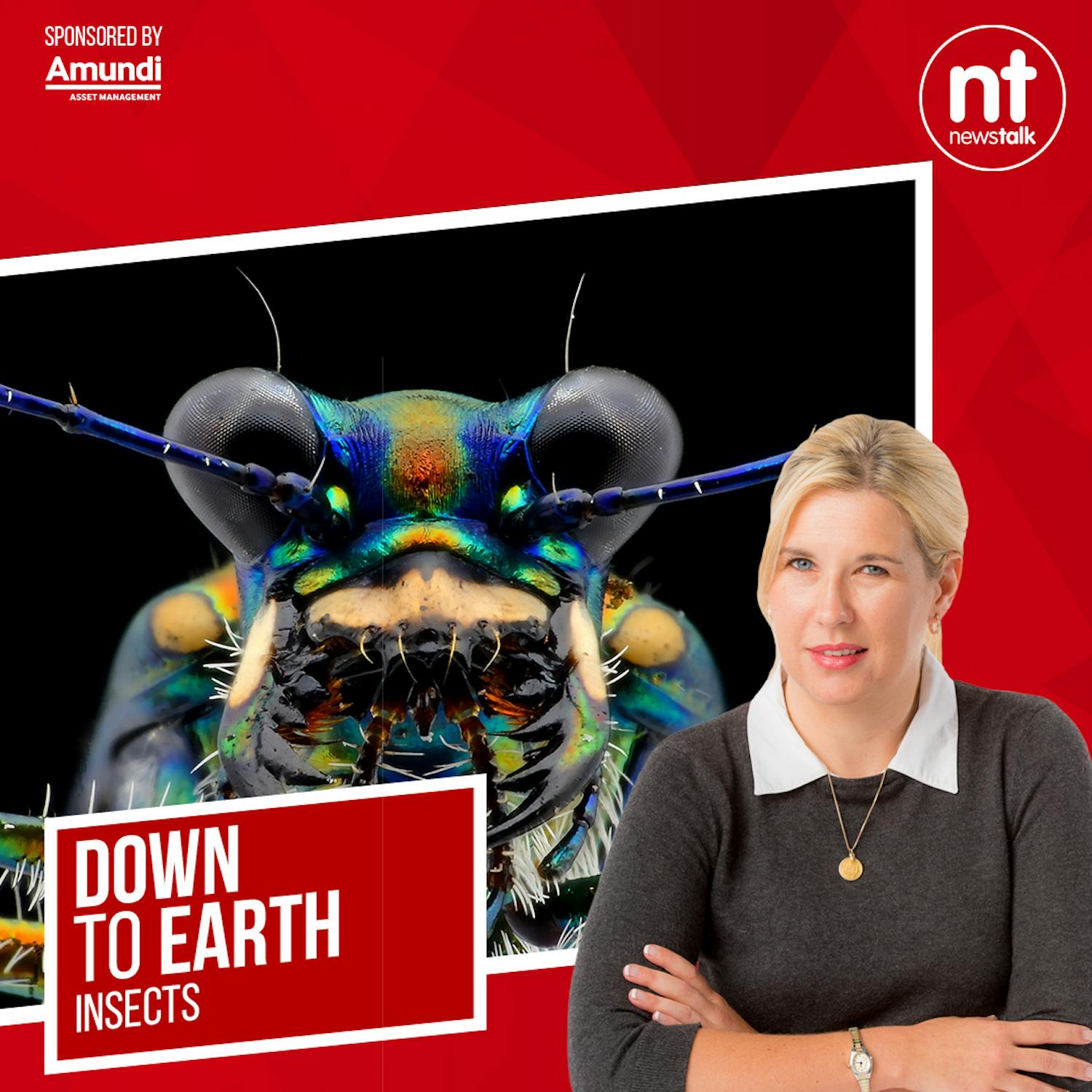 Are we in the midst of an insect apocalypse?