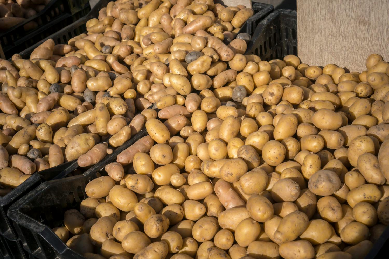 Farming: It's National Spud Day This Friday episode artwork