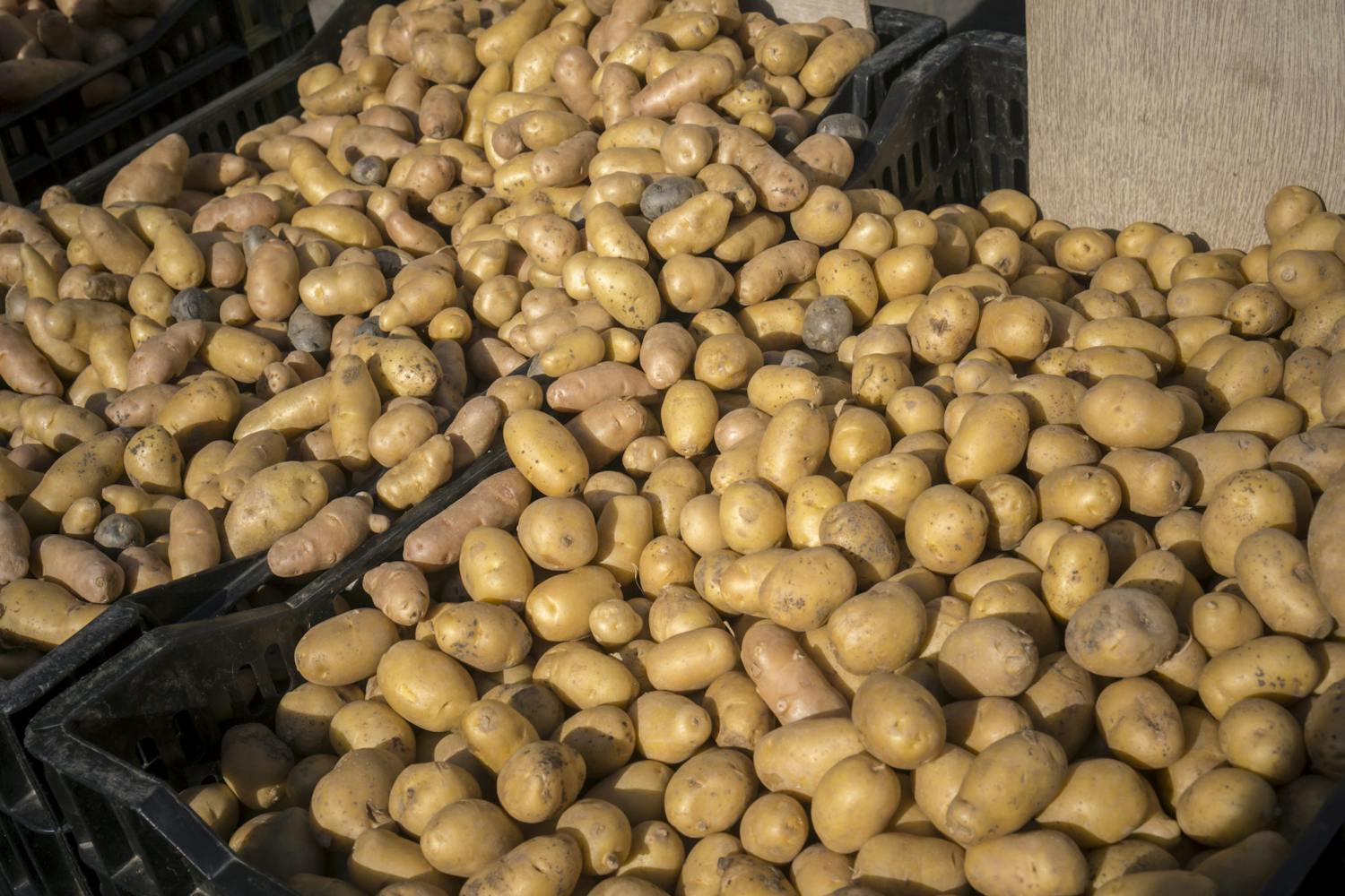 Farming: It's National Spud Day This Friday