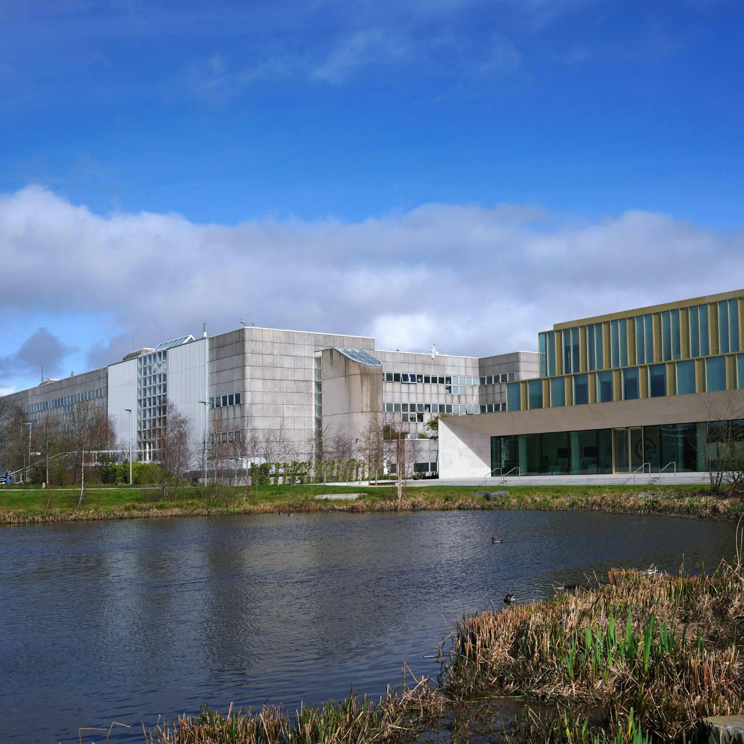 Professor Tony Brabazon Dean of UCD College of Business