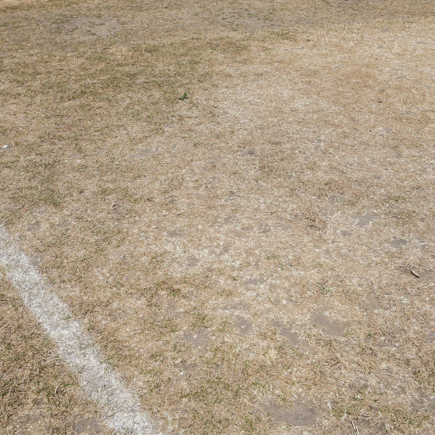 Is rock hard ground impacting sporting games?