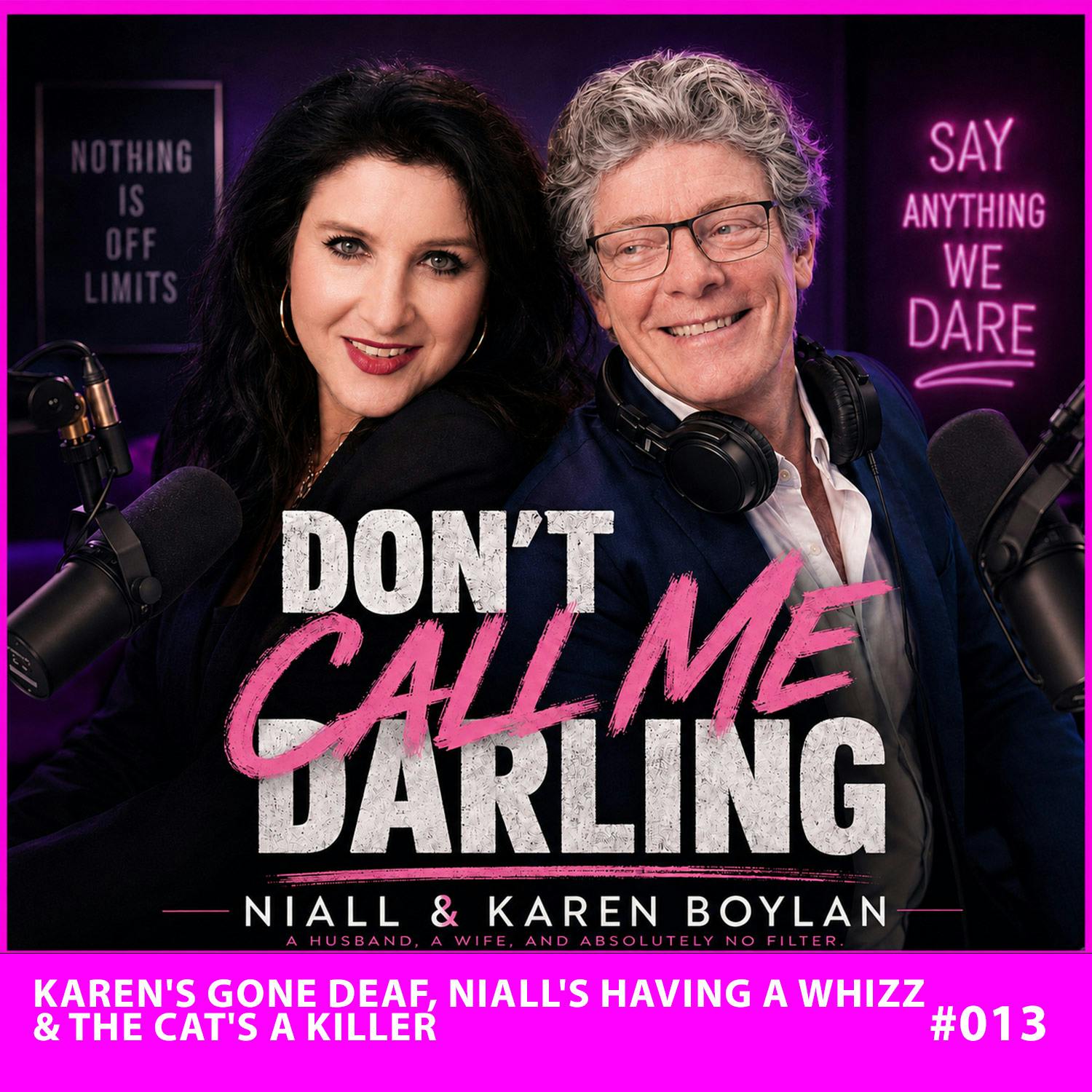 Karen's Gone Deaf, Niall's Having a Whizz & The Cat's a Killer