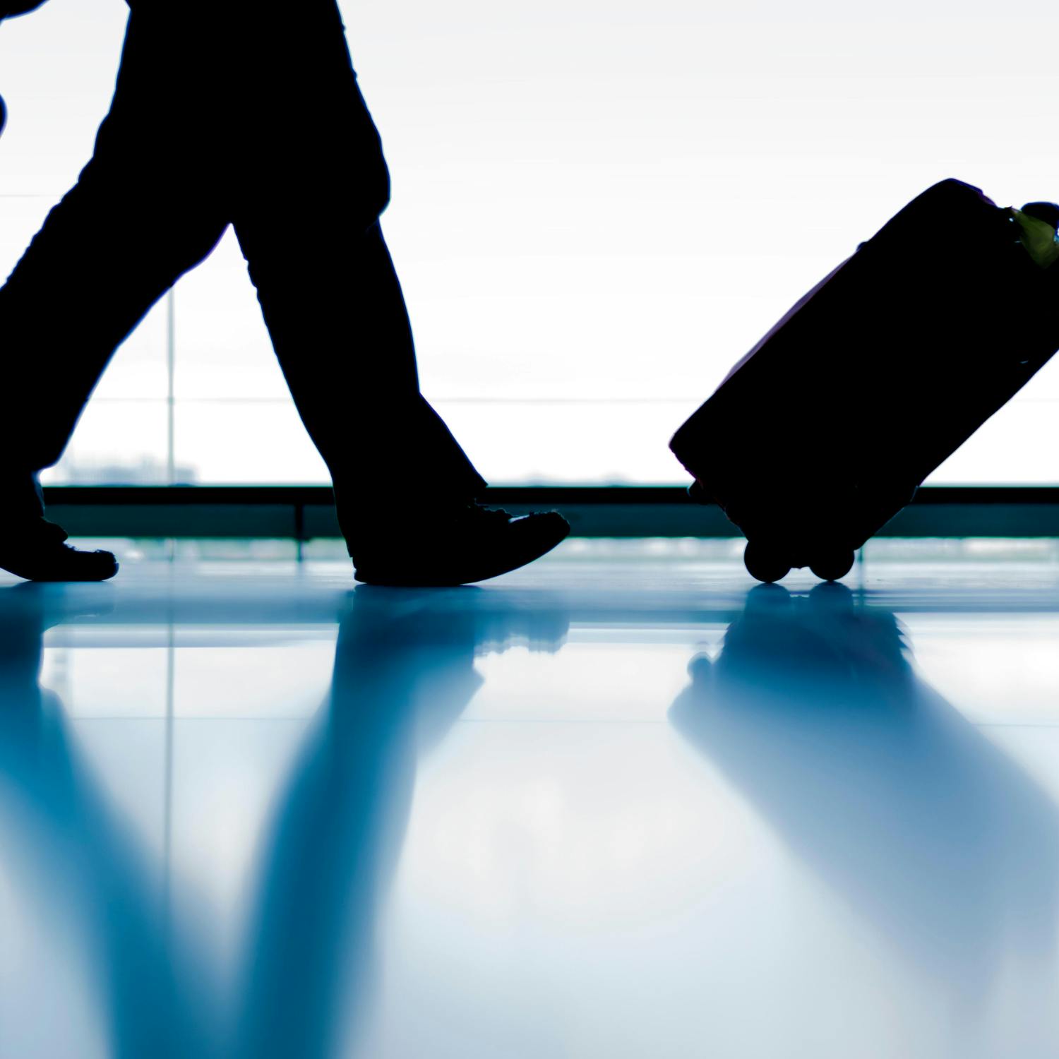EU commission sided with the airlines over luggage fees