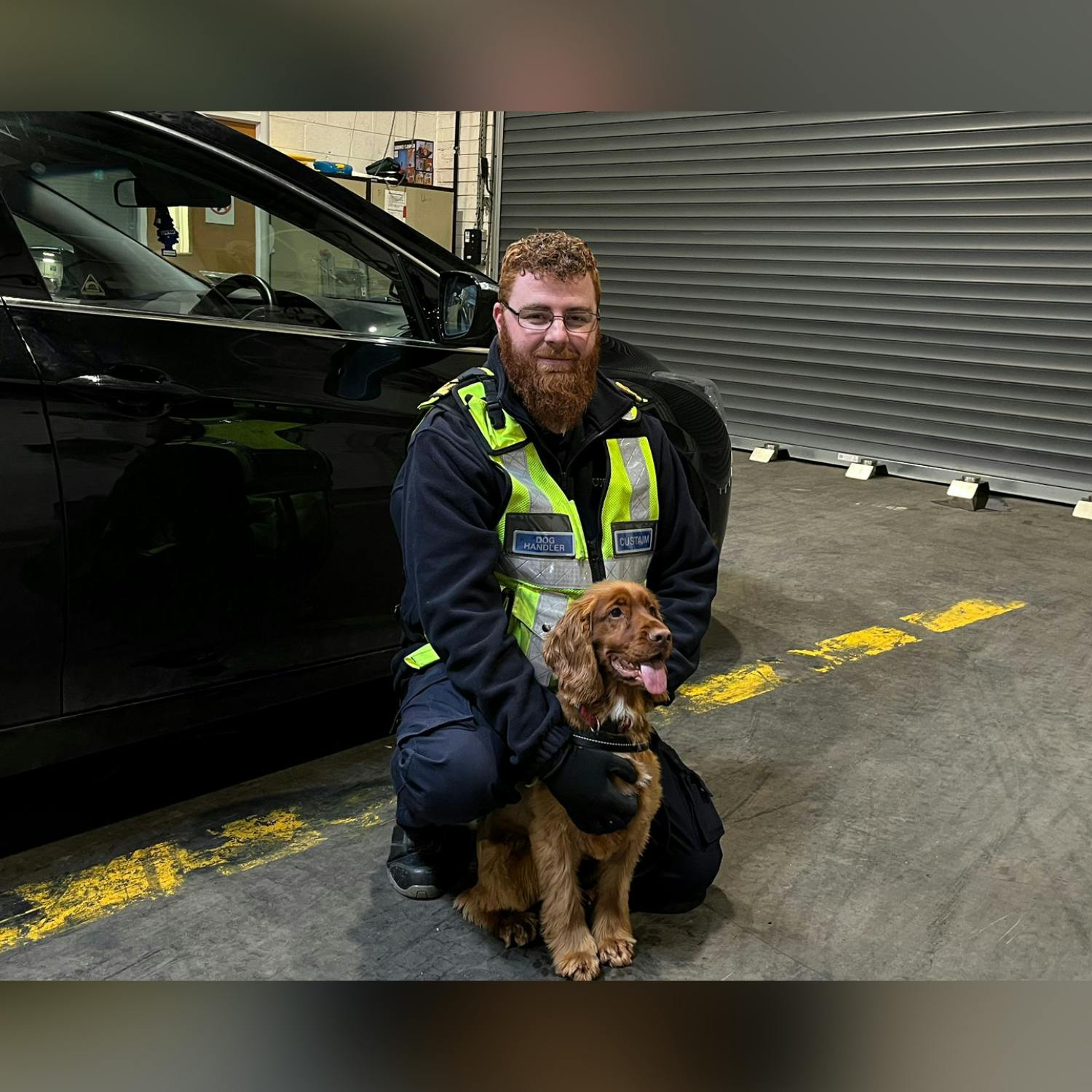 How sniffer dogs find contraband - Henry McKean Reports episode artwork