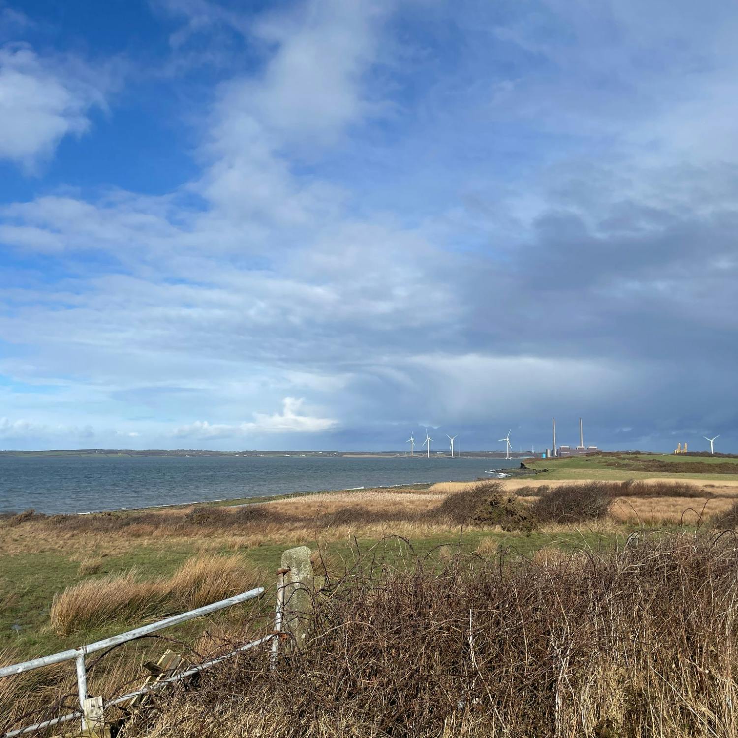 Locals react to Shannon LNG project