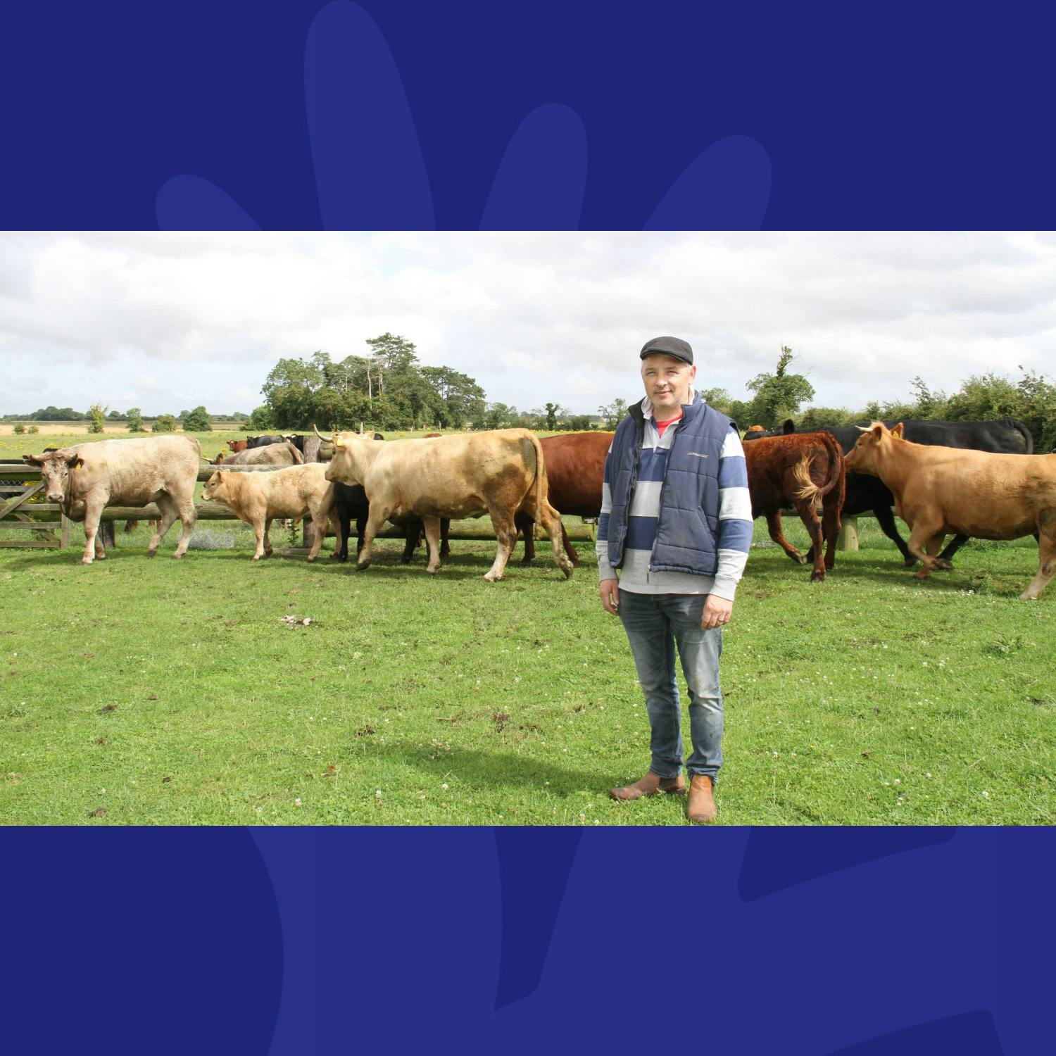 Irish Beef Exports To China To Resume