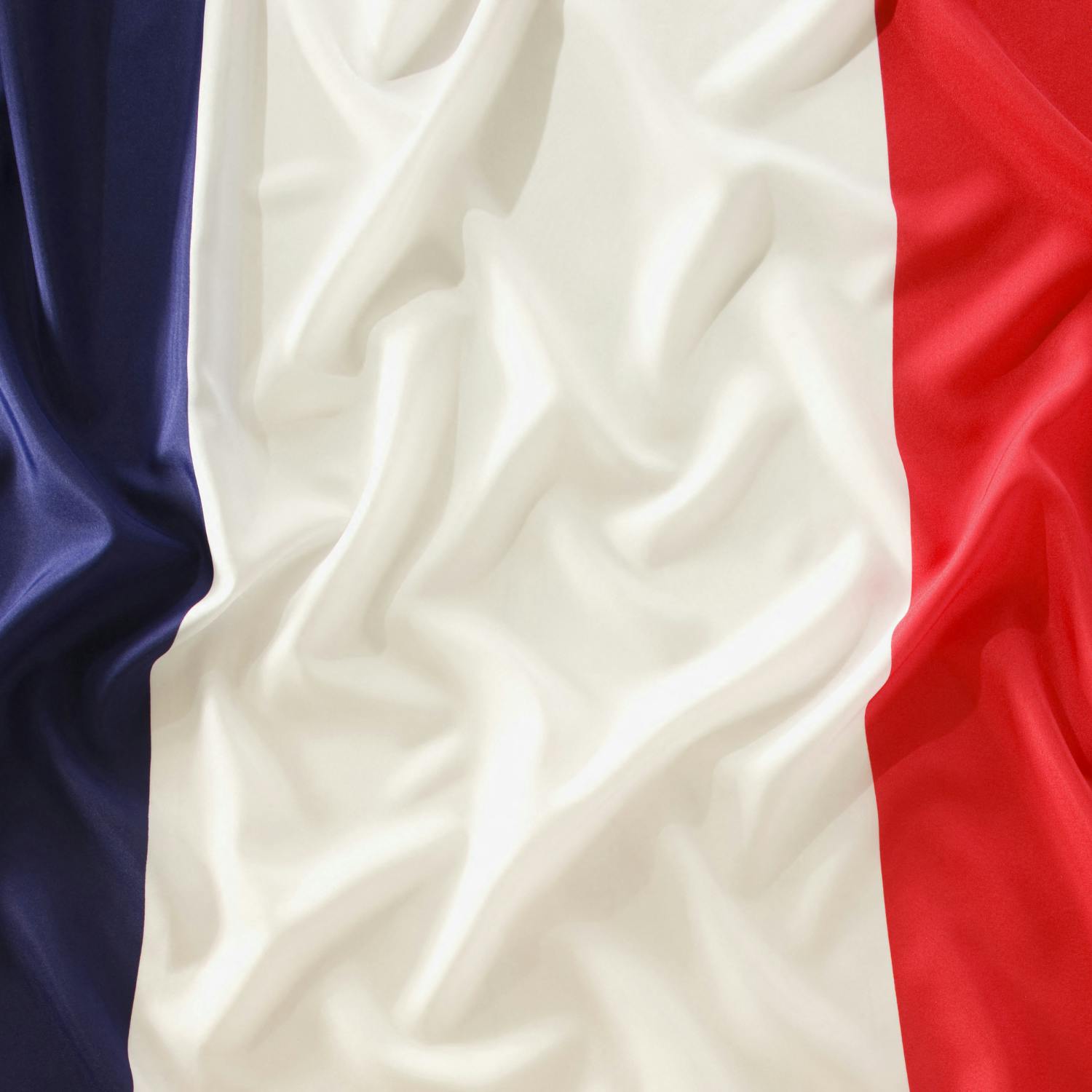 French Senate votes to ban social media for people under 15 episode artwork