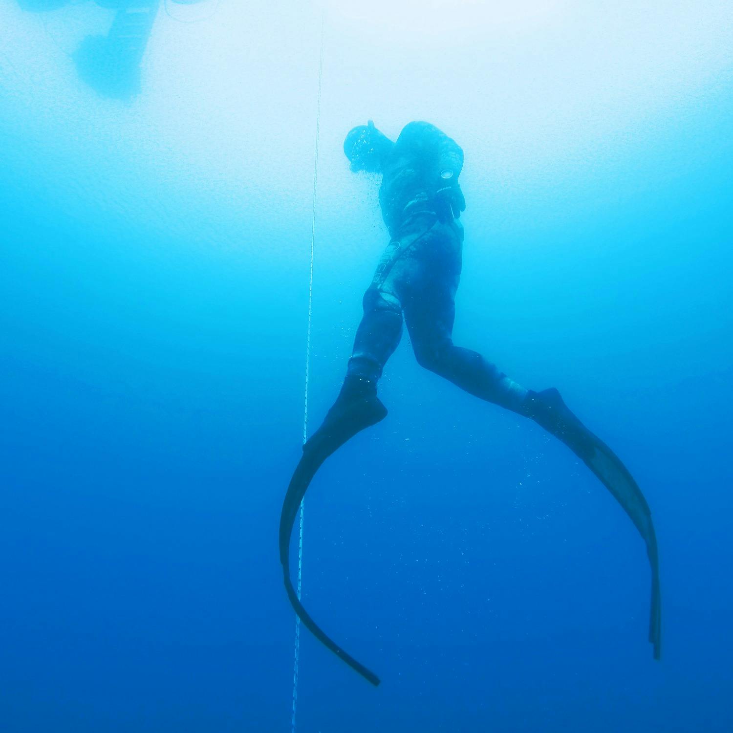 A deep dive into Freediving and it's future here in Ireland episode artwork