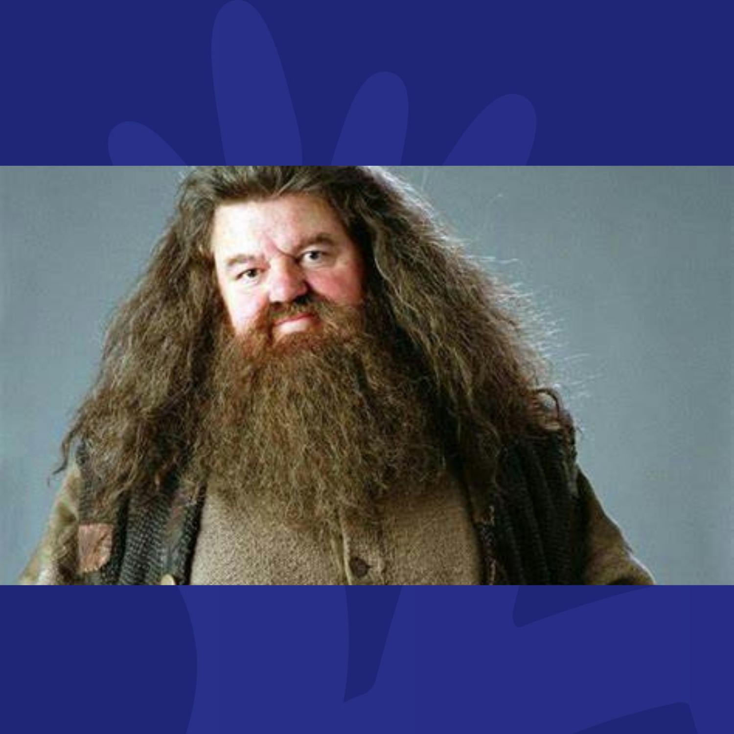 Sorry...Who Is Playing Hagrid In The New Harry Potter Movie? episode artwork