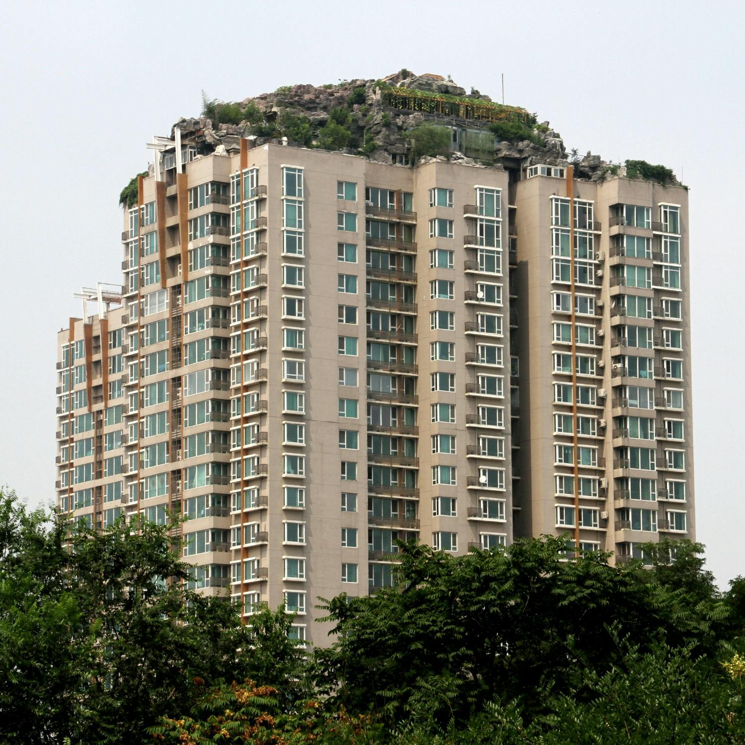 Zhang Biqing’s Rooftop Paradise