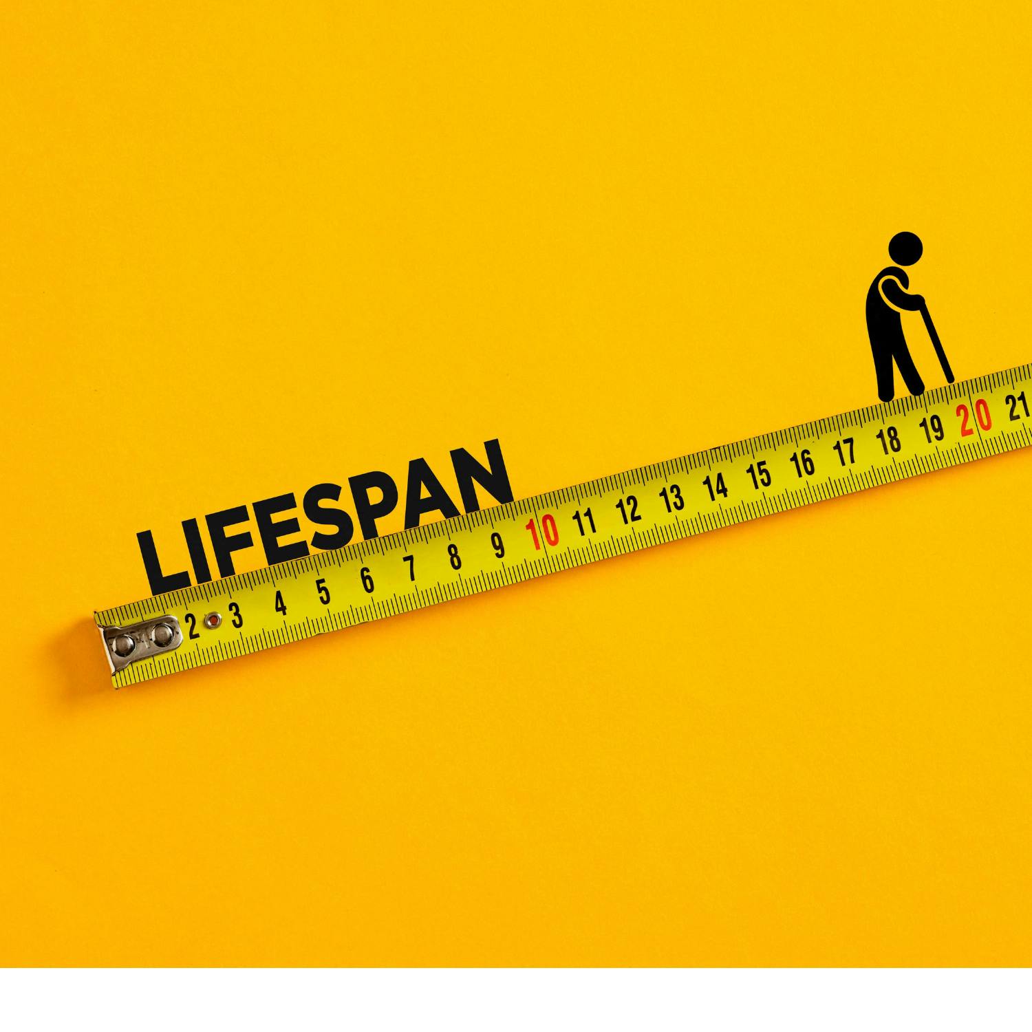 Experimenting all the ways to slow down ageing