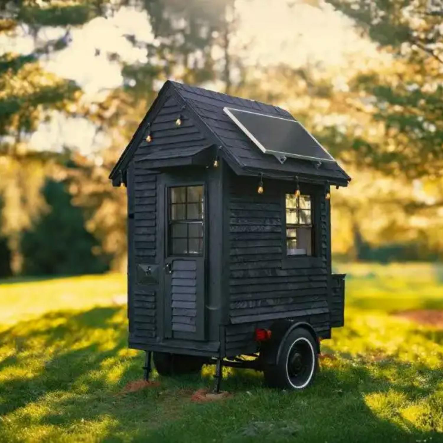 Man builds world’s smallest home! Image