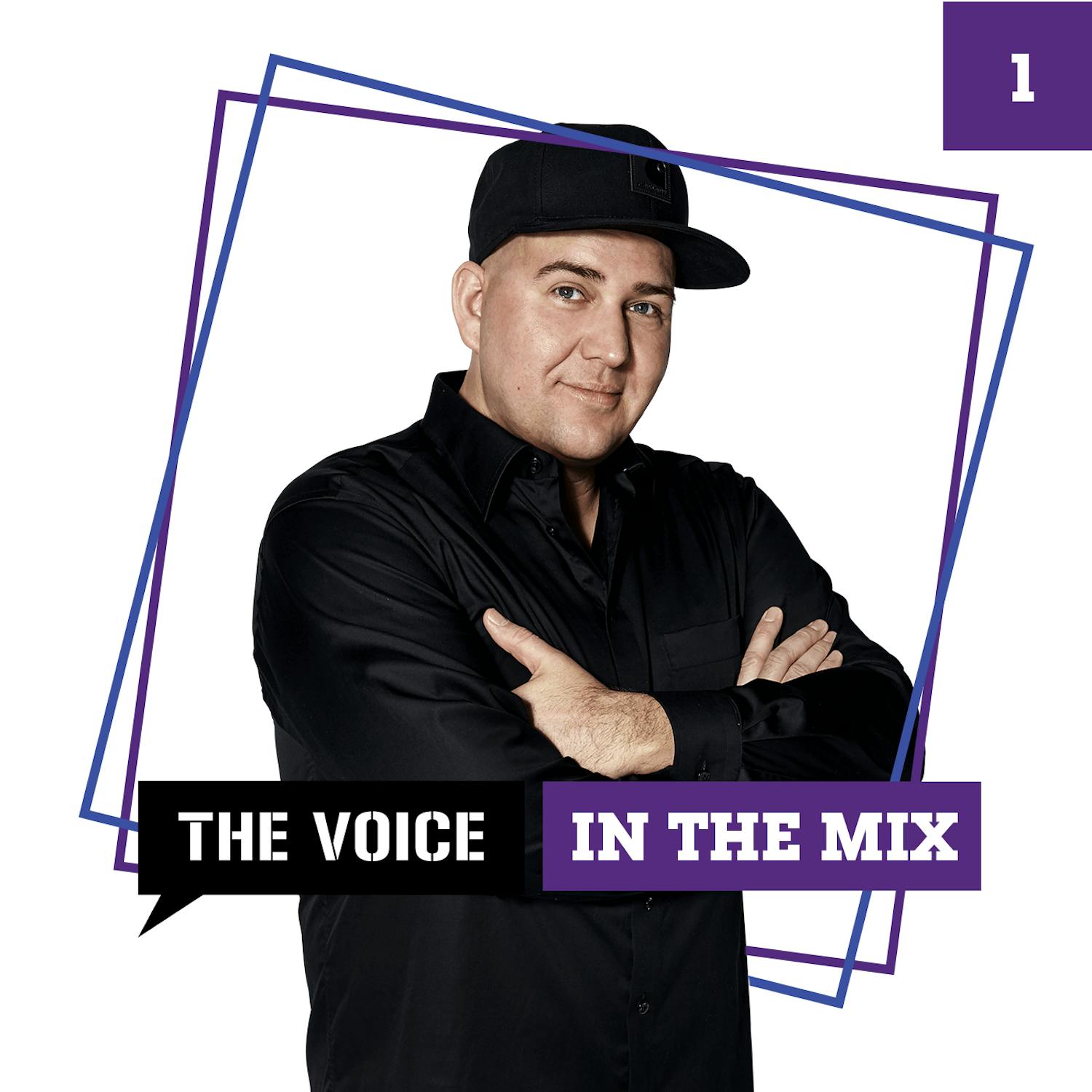 The Voice In The Mix