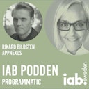 IAB-podden