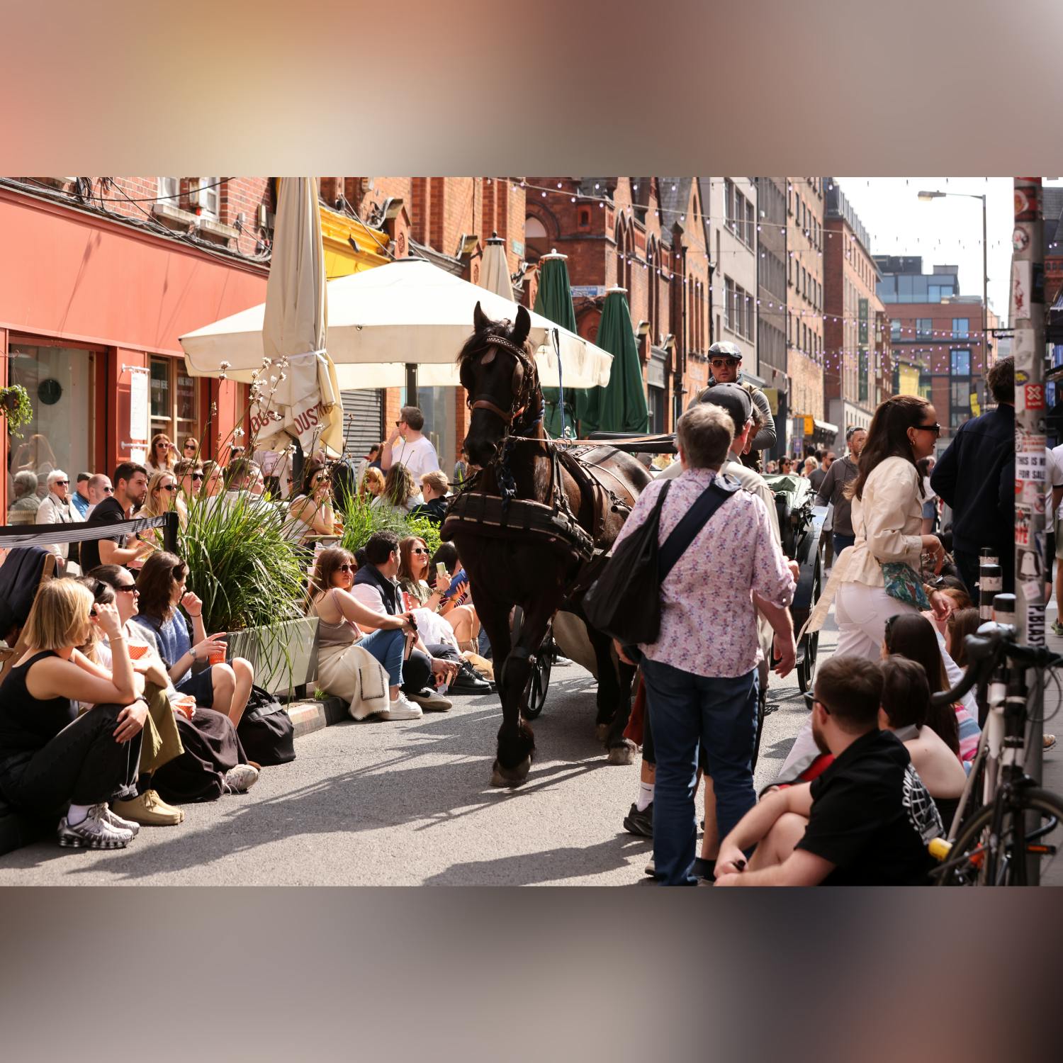 Should we ban horse drawn carriages in our cities?