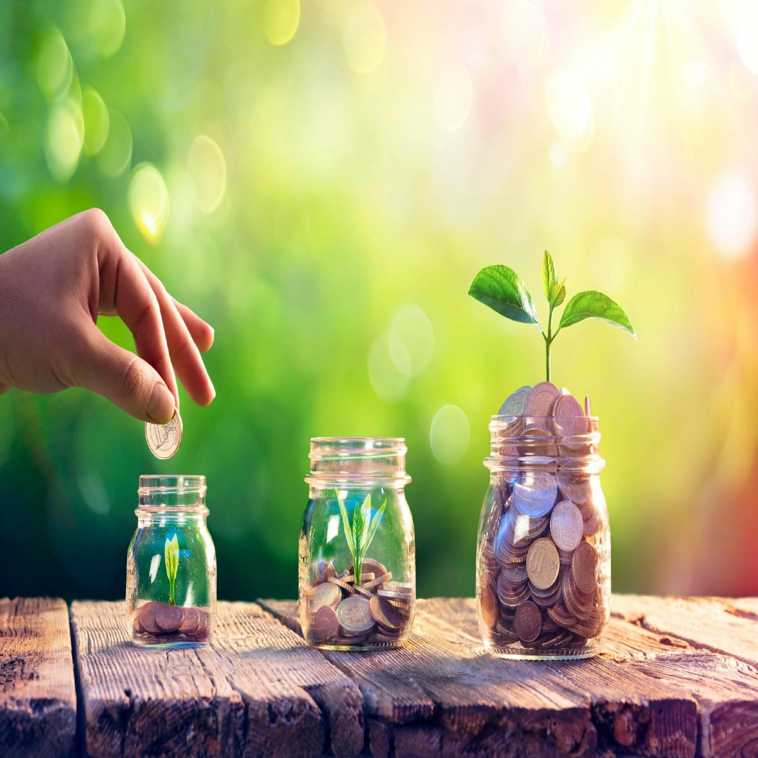 Your mid-year investment outlook with Anthony McGuinness episode artwork