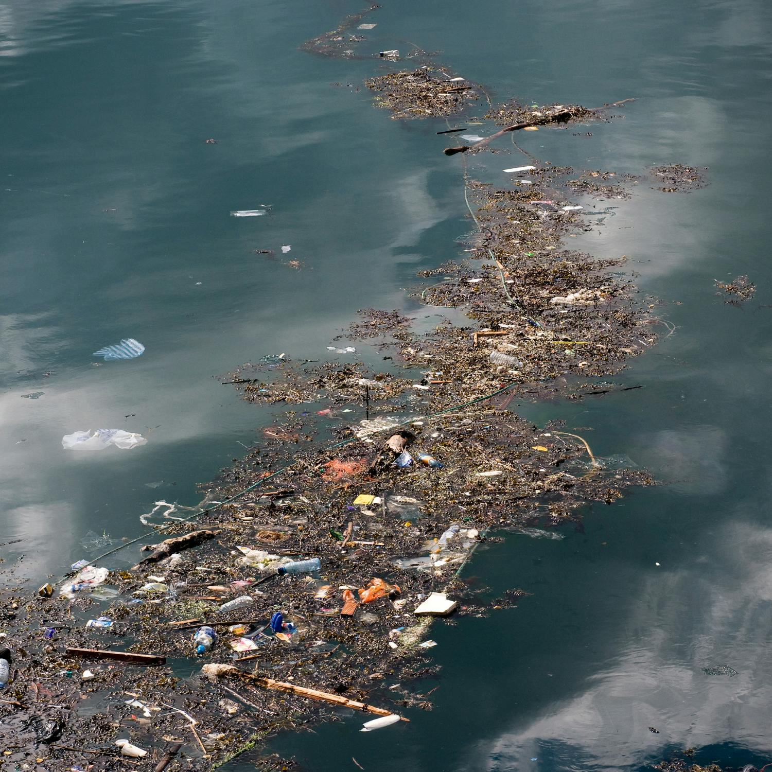 Green Scene: The great pacific garbage patch