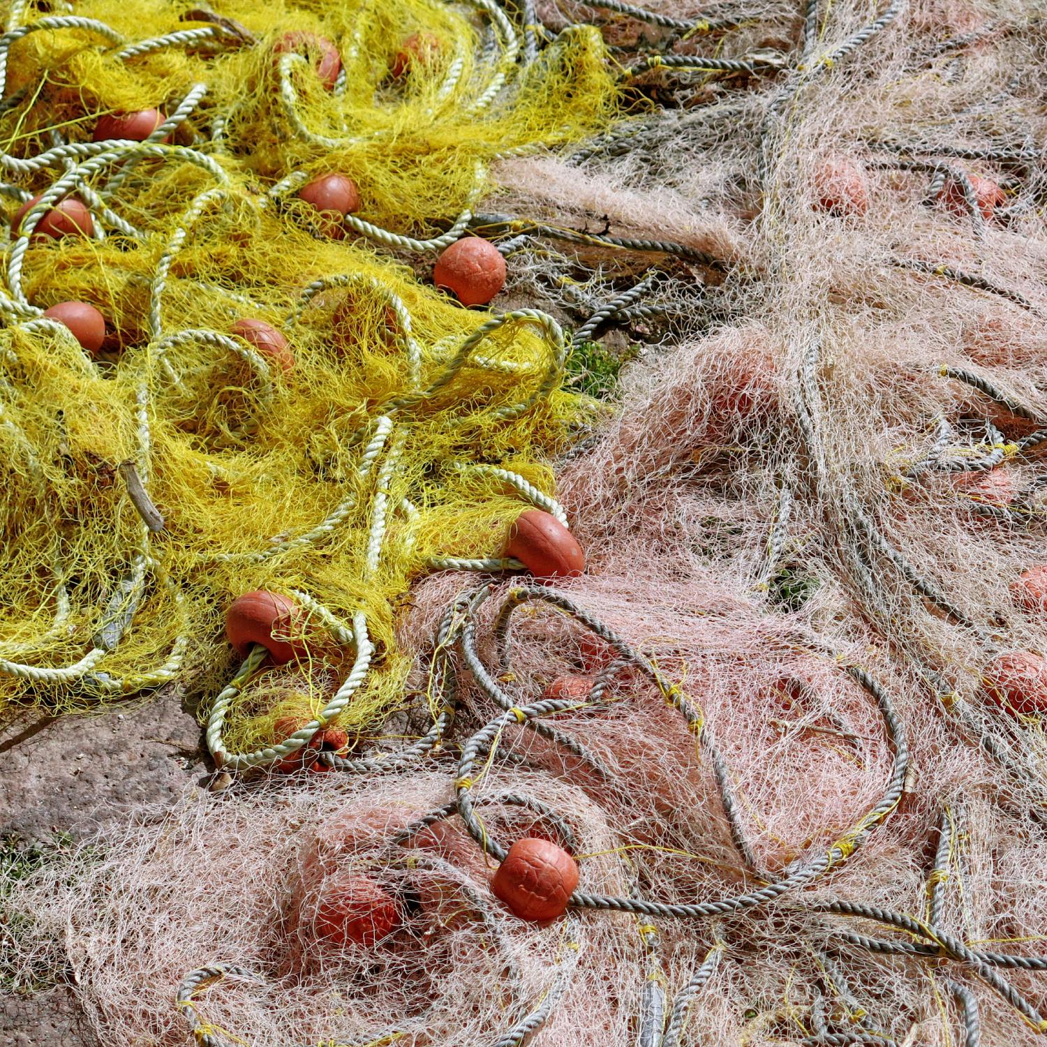 Thousands of protected animals dying in tangle nets episode artwork