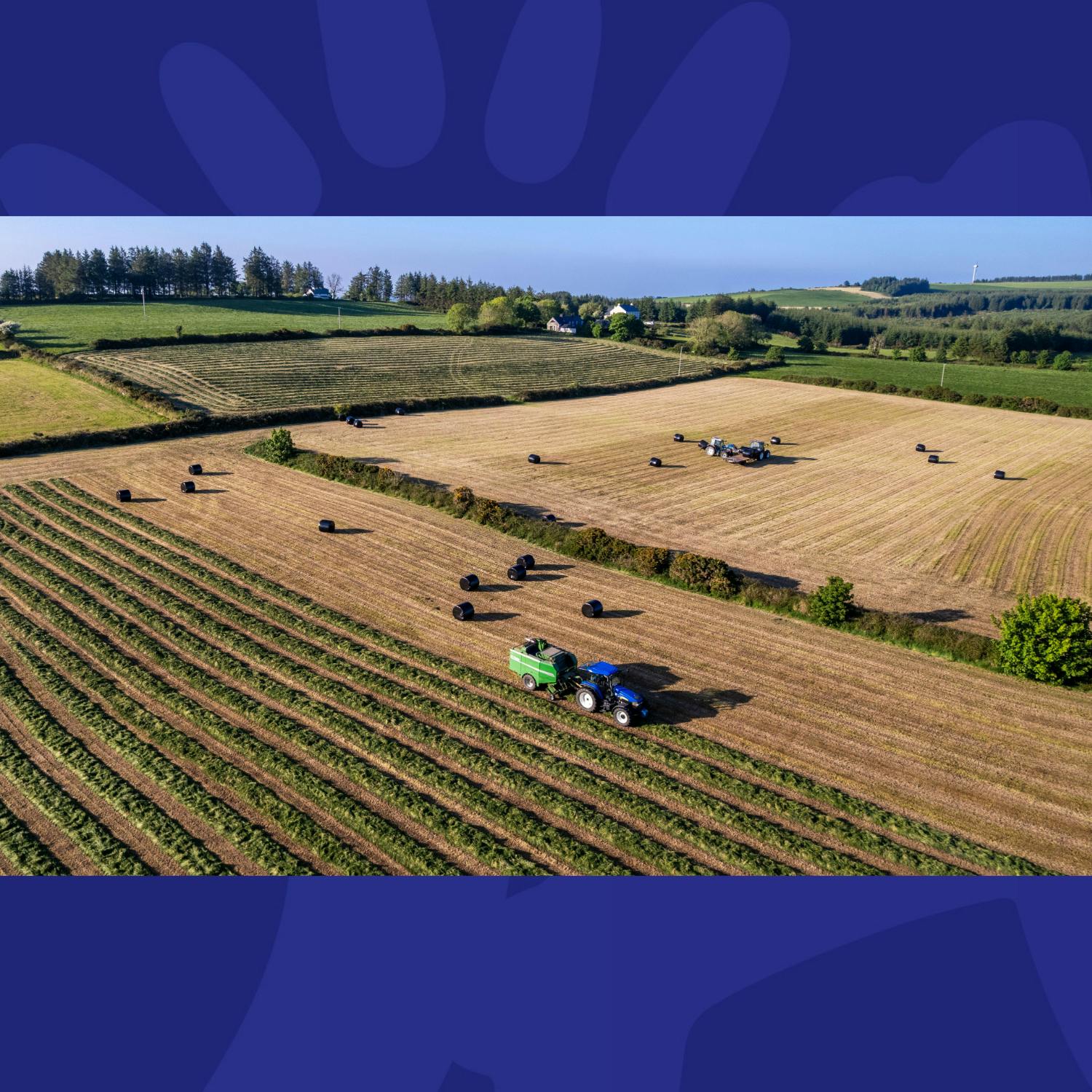 How Has The Hot Weather Impacted Irish Farming?