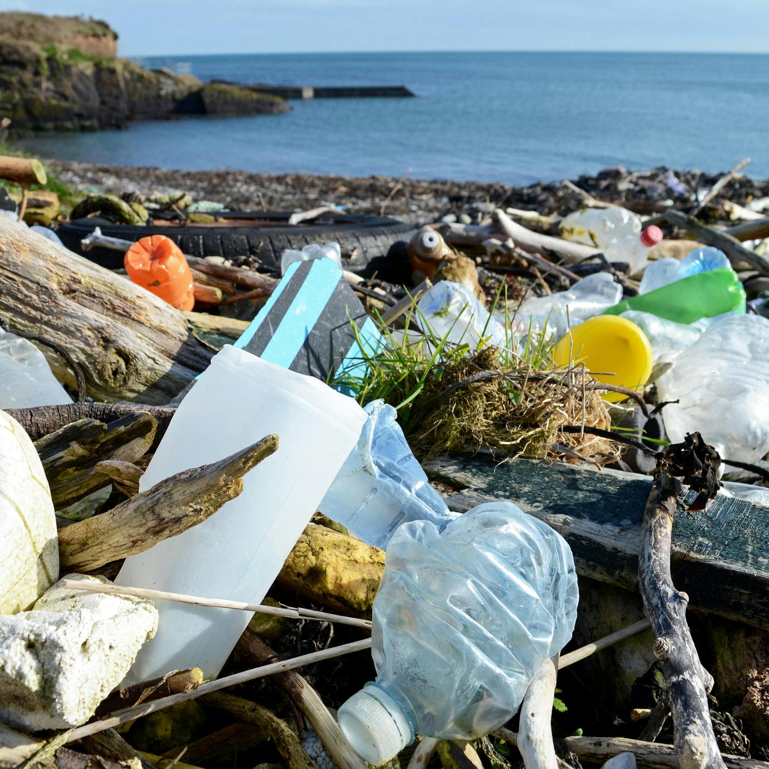 The litter that is ruining our beaches episode artwork