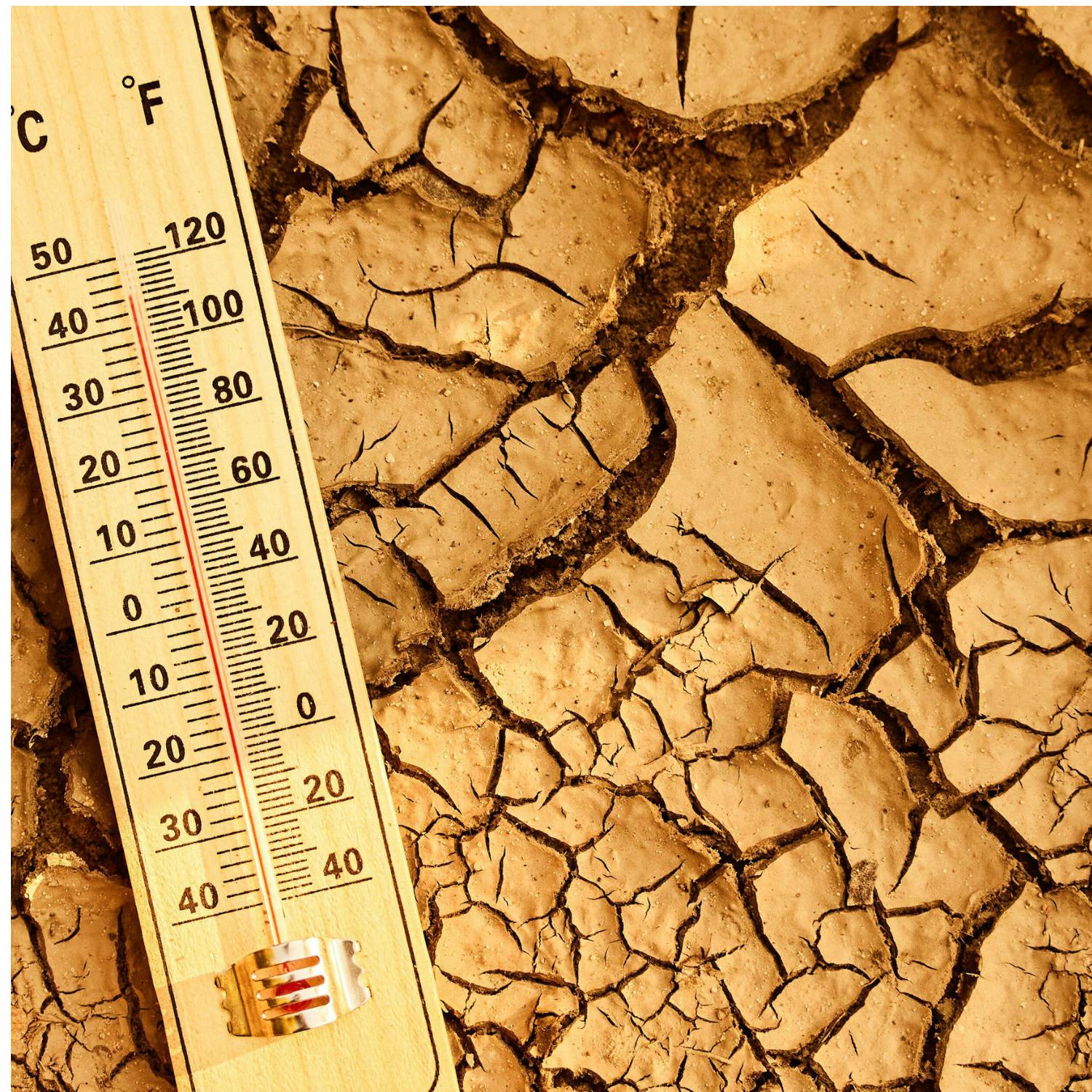 UN warnings on extreme weather events artwork