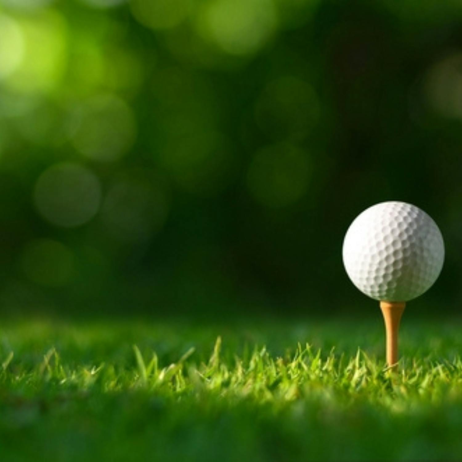 Scheffler takes home the green jacket at Augusta