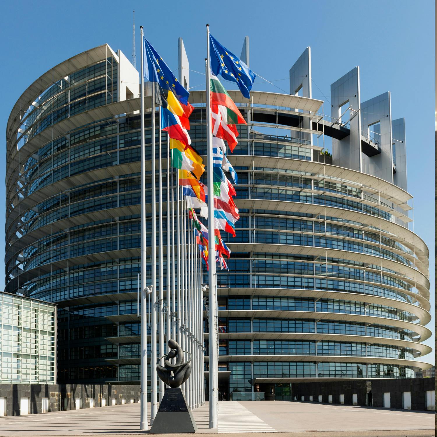 What does an MEP do day to day?