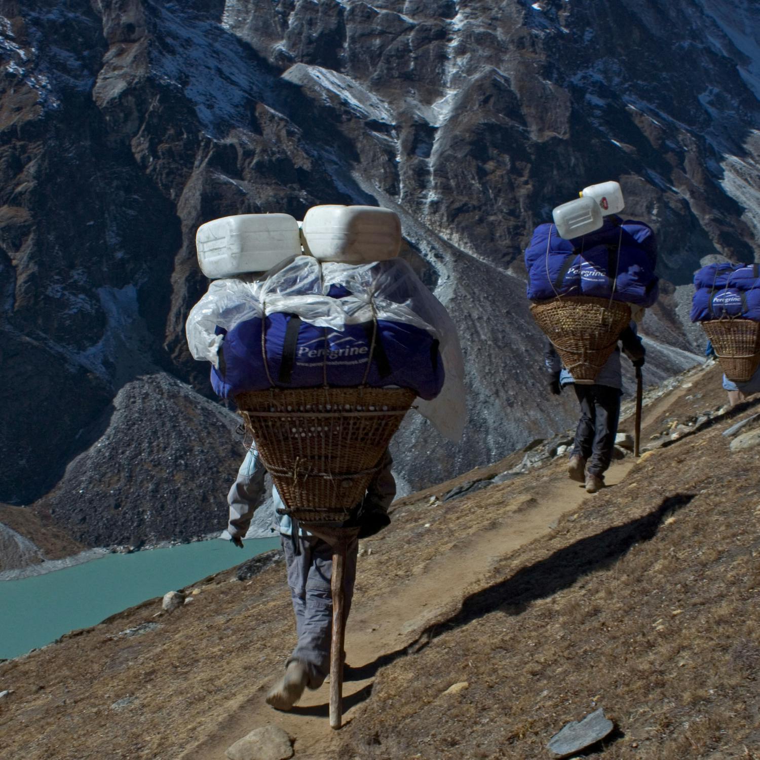 What does a Sherpa do?
