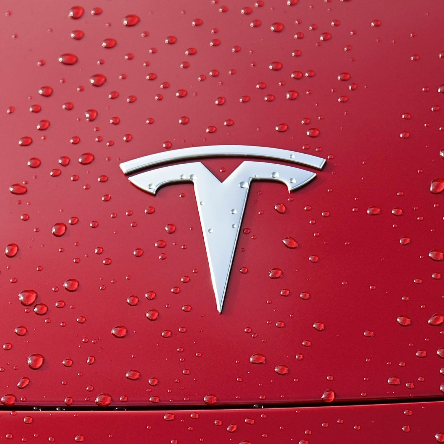 Tesla loses EV war to BYD - what now?