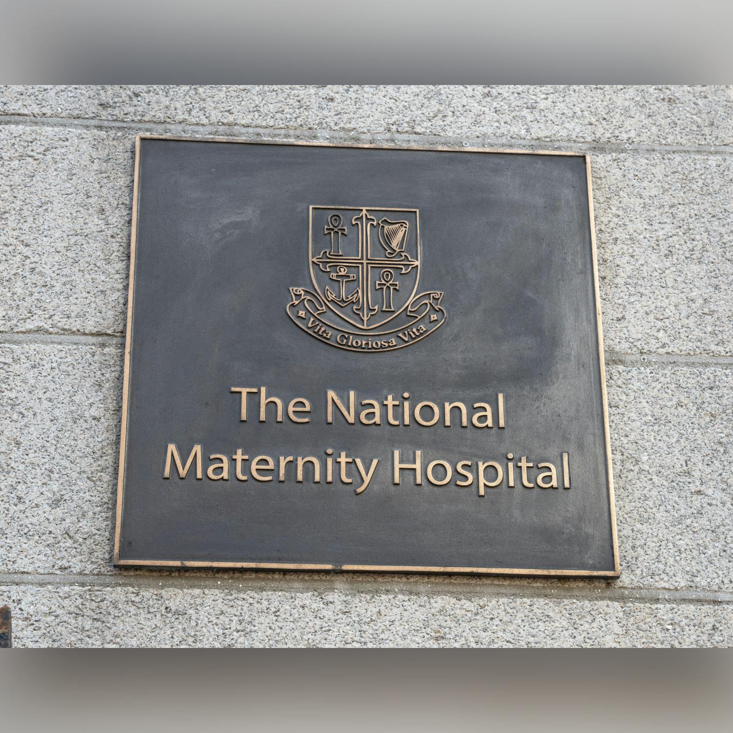 What services besides birth are offered in The National Maternity Hospital?