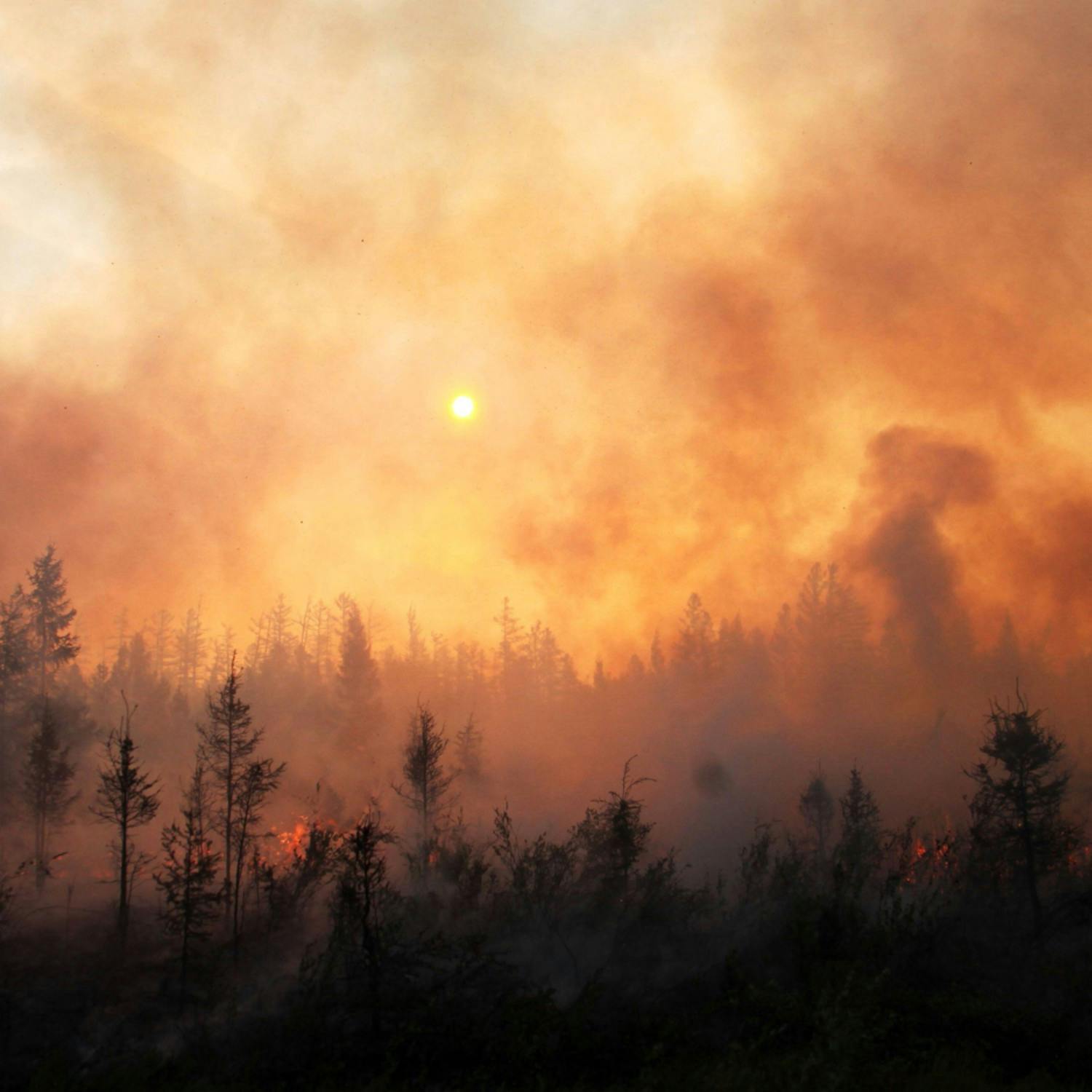 Experiencing a wildfire up close