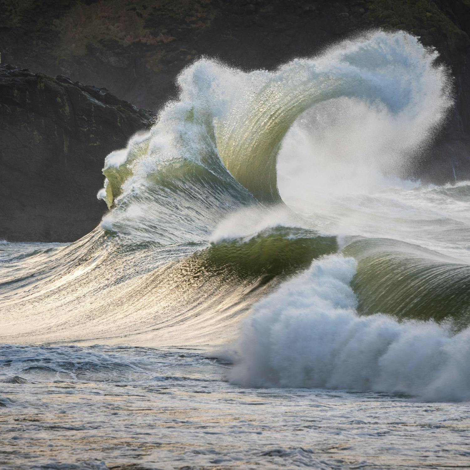 What can we practically do to support our oceans?
