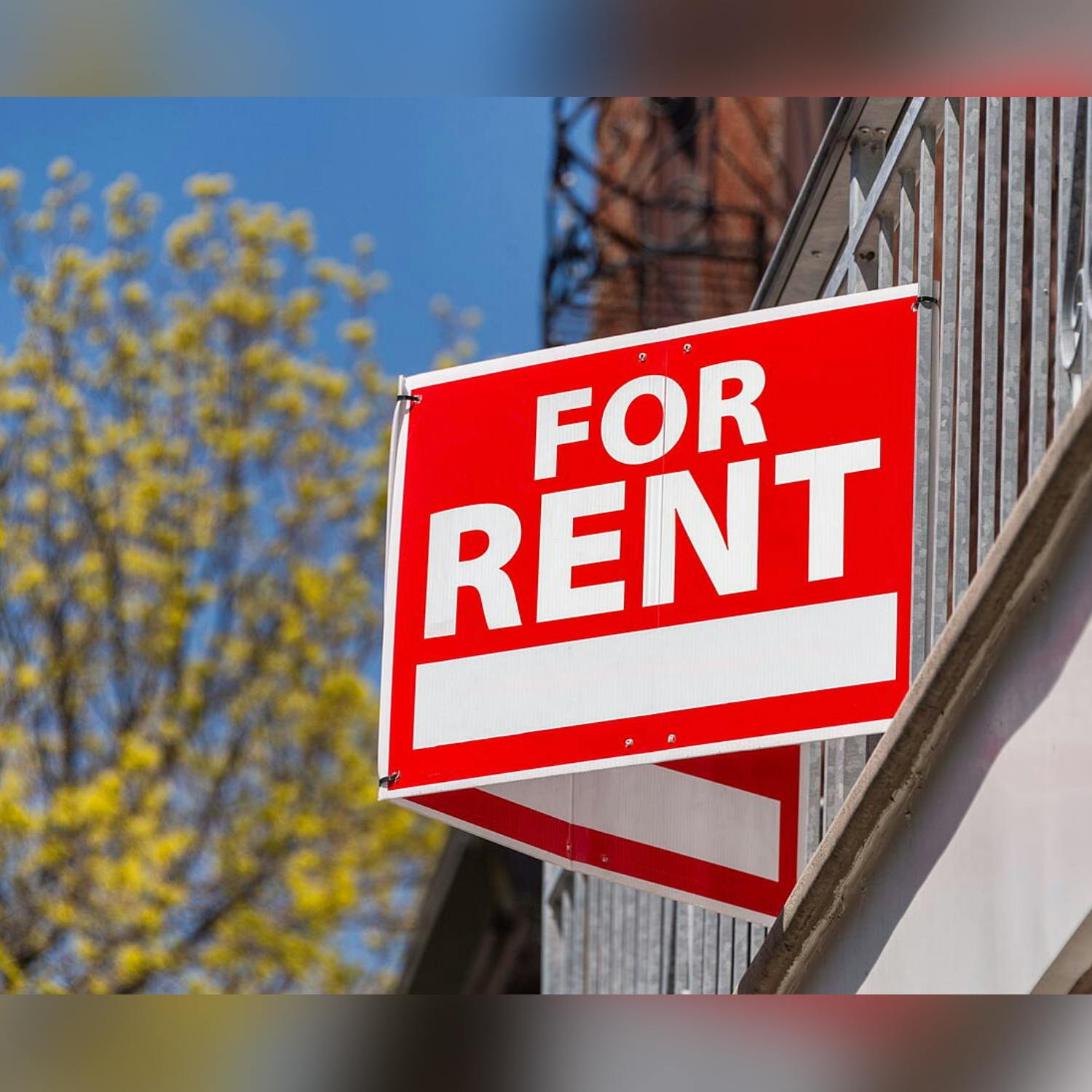 AIB warns about new rental scam - what you need to know