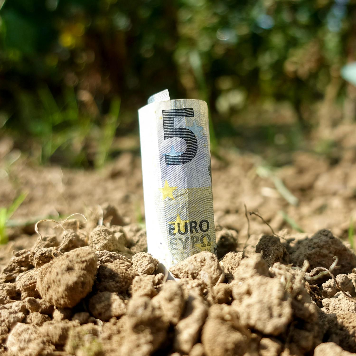 Finance Matters: Growing Your Assets episode artwork