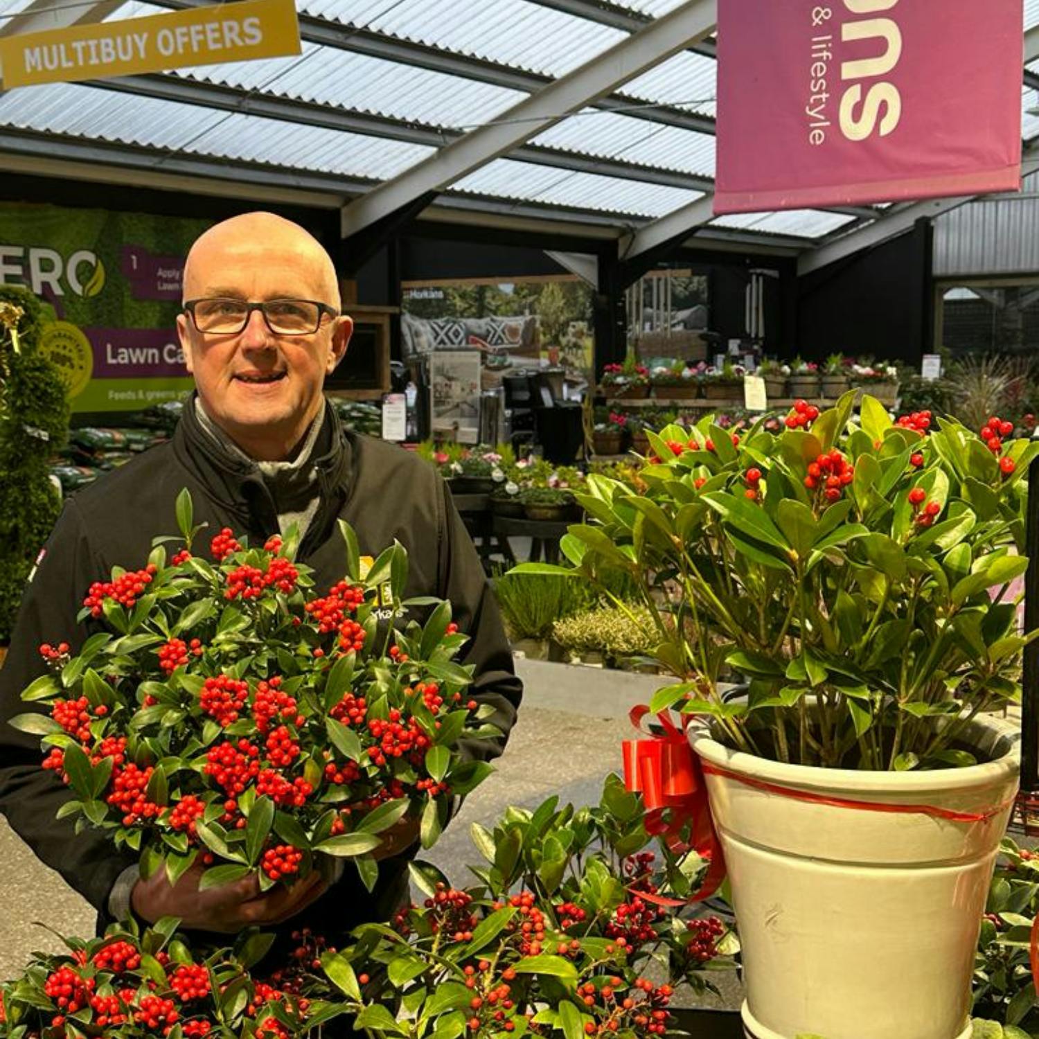 Gardening : Christmas plants
