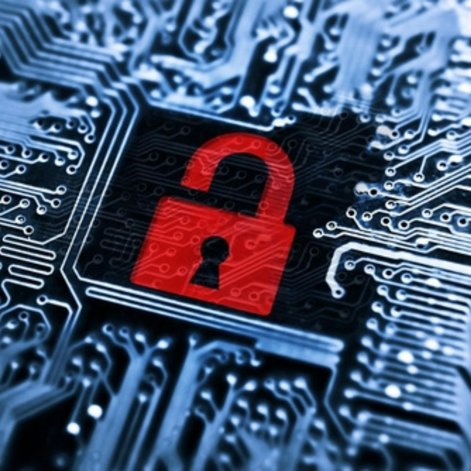 We hear from a leading US data security and privacy expert