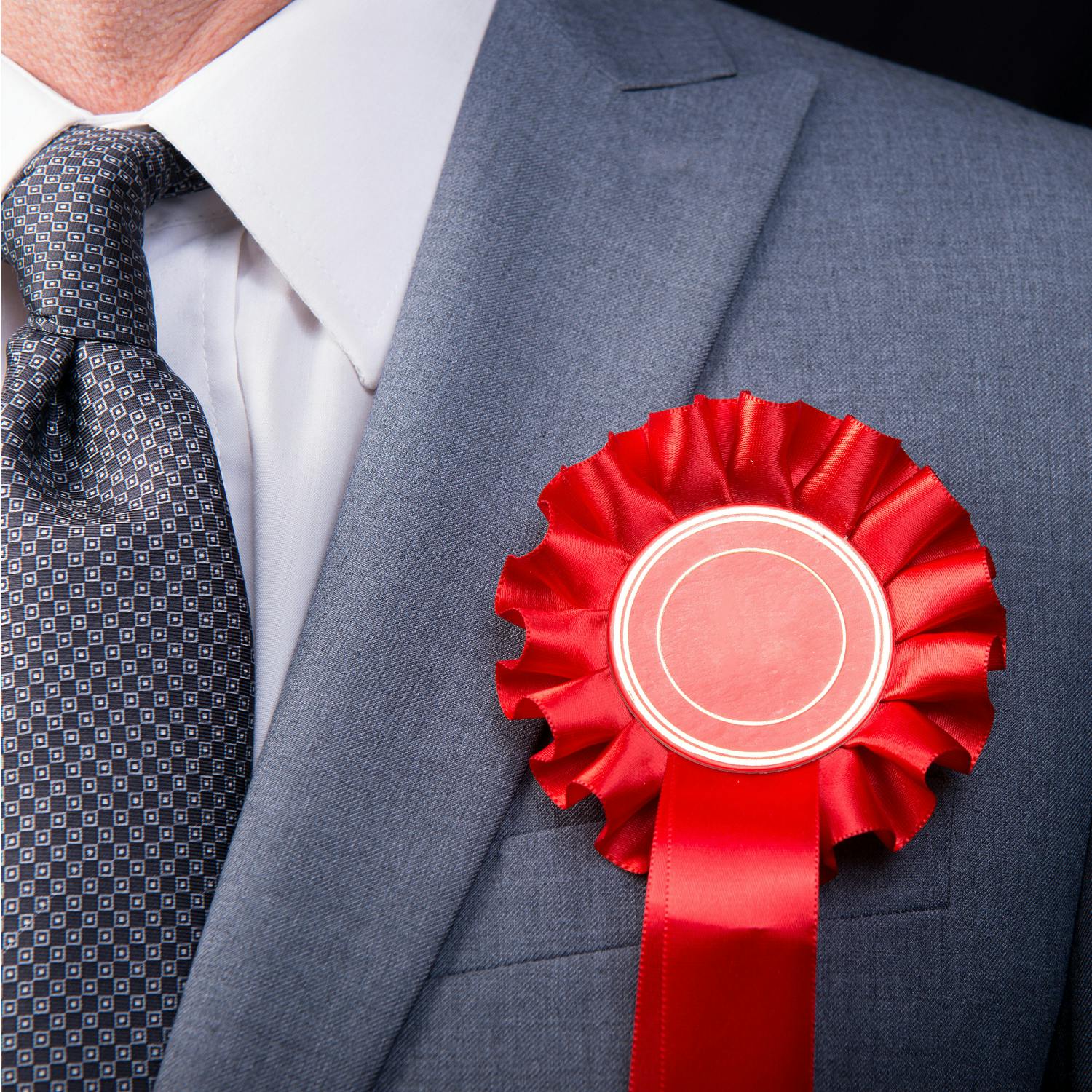 So You Think You're an Adult: I want to run for election episode artwork